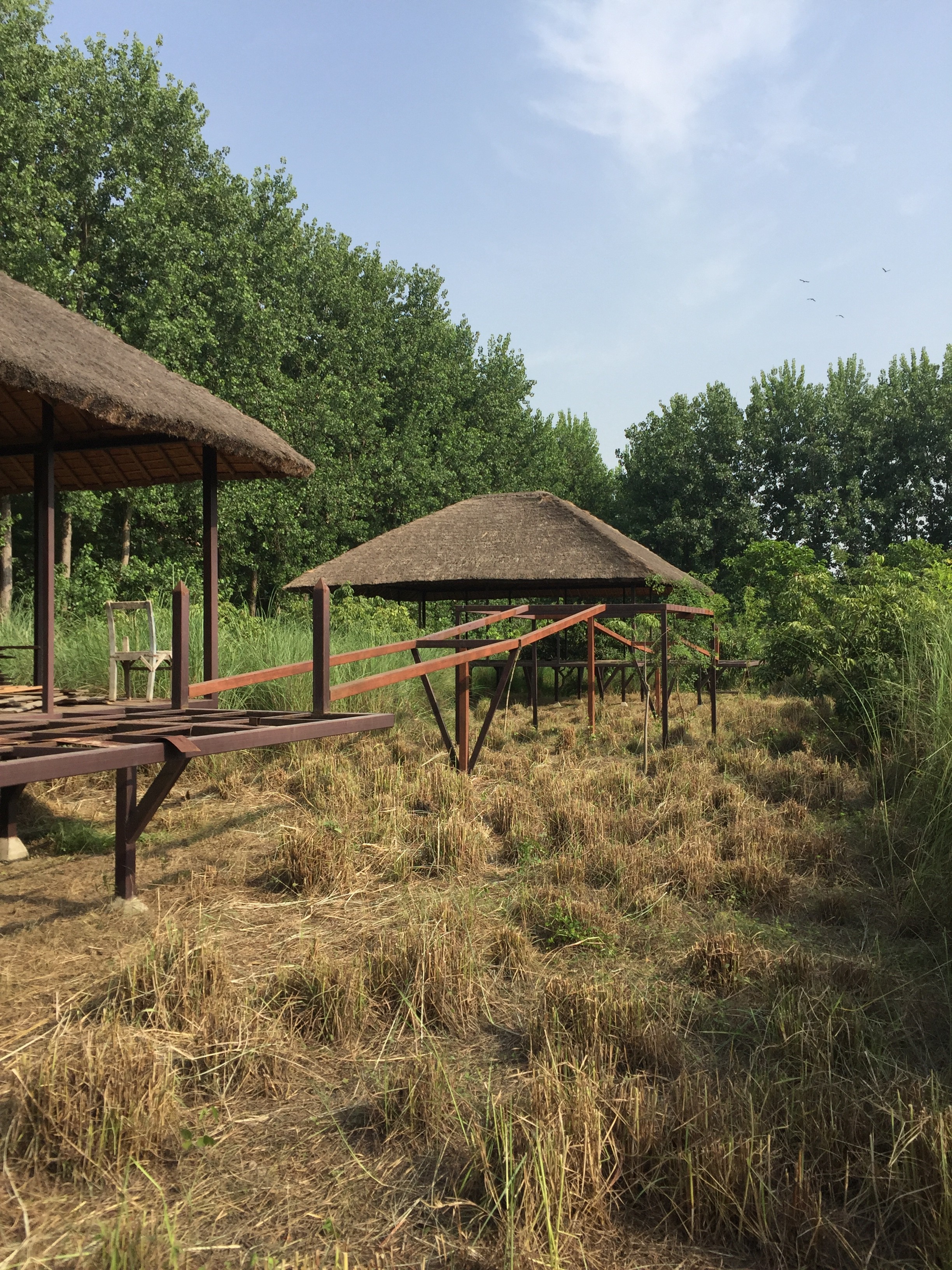 Cyril Amarchand Mangaldas