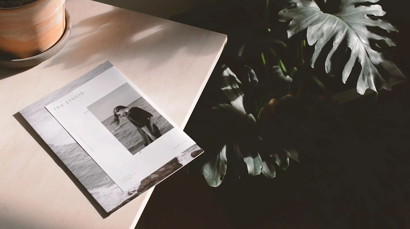 Photography Studio Branding