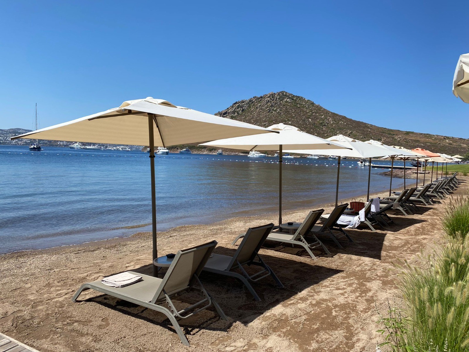 woman holding a phone and man looking at the phone. both are smiling
