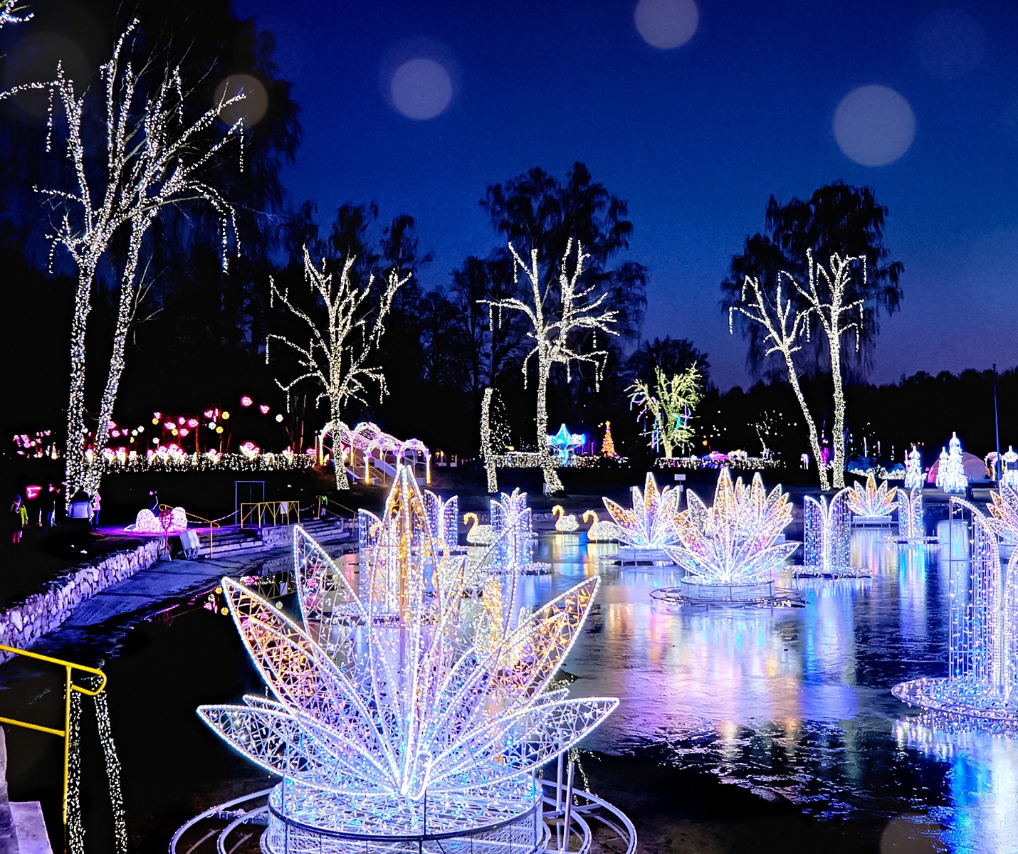 Iluminacja parku świateł. System rezerwacji umożliwia sprzedaż biletów na konkretny dzień lub wybrane sloty godzinowe, zapewniając elastyczność zwiedzania