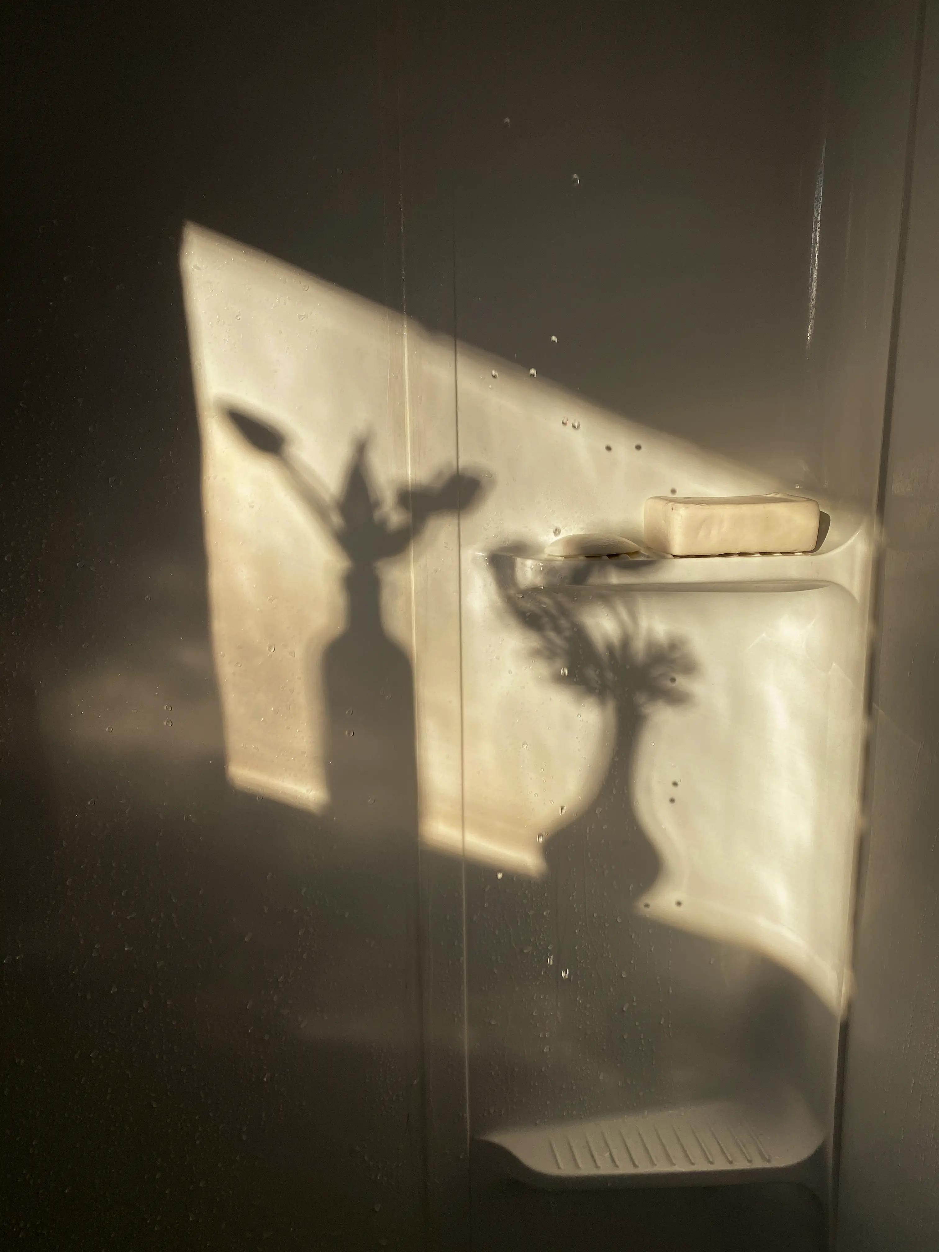 A scene of a wall with glass bottles' shadow casted onto it