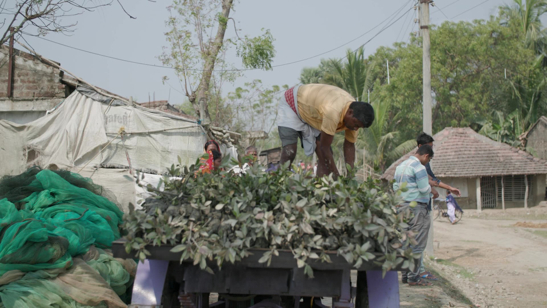 Local community members participating in mangrove plantation activities in the Sundarbans region.