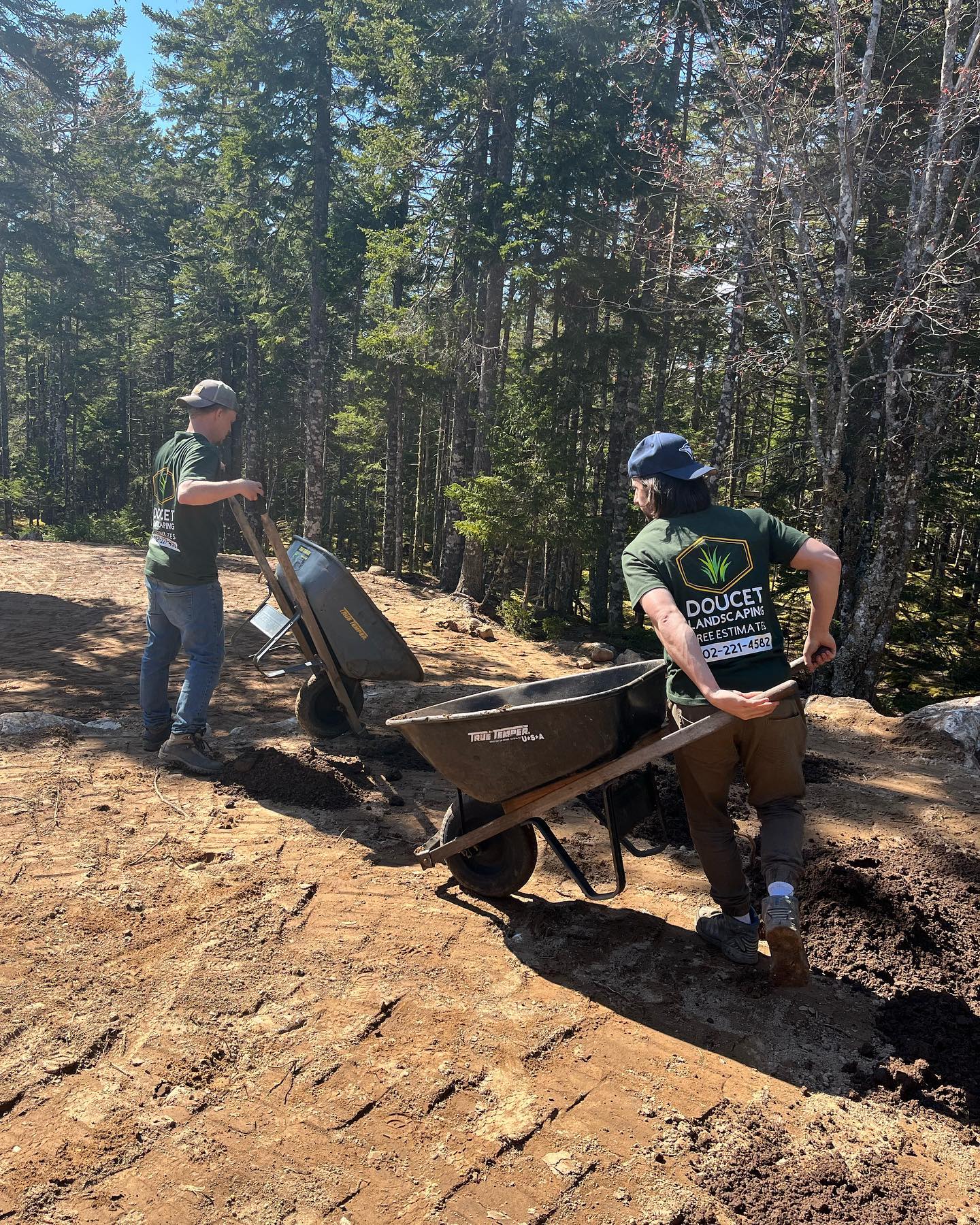 Team with wheel barrows