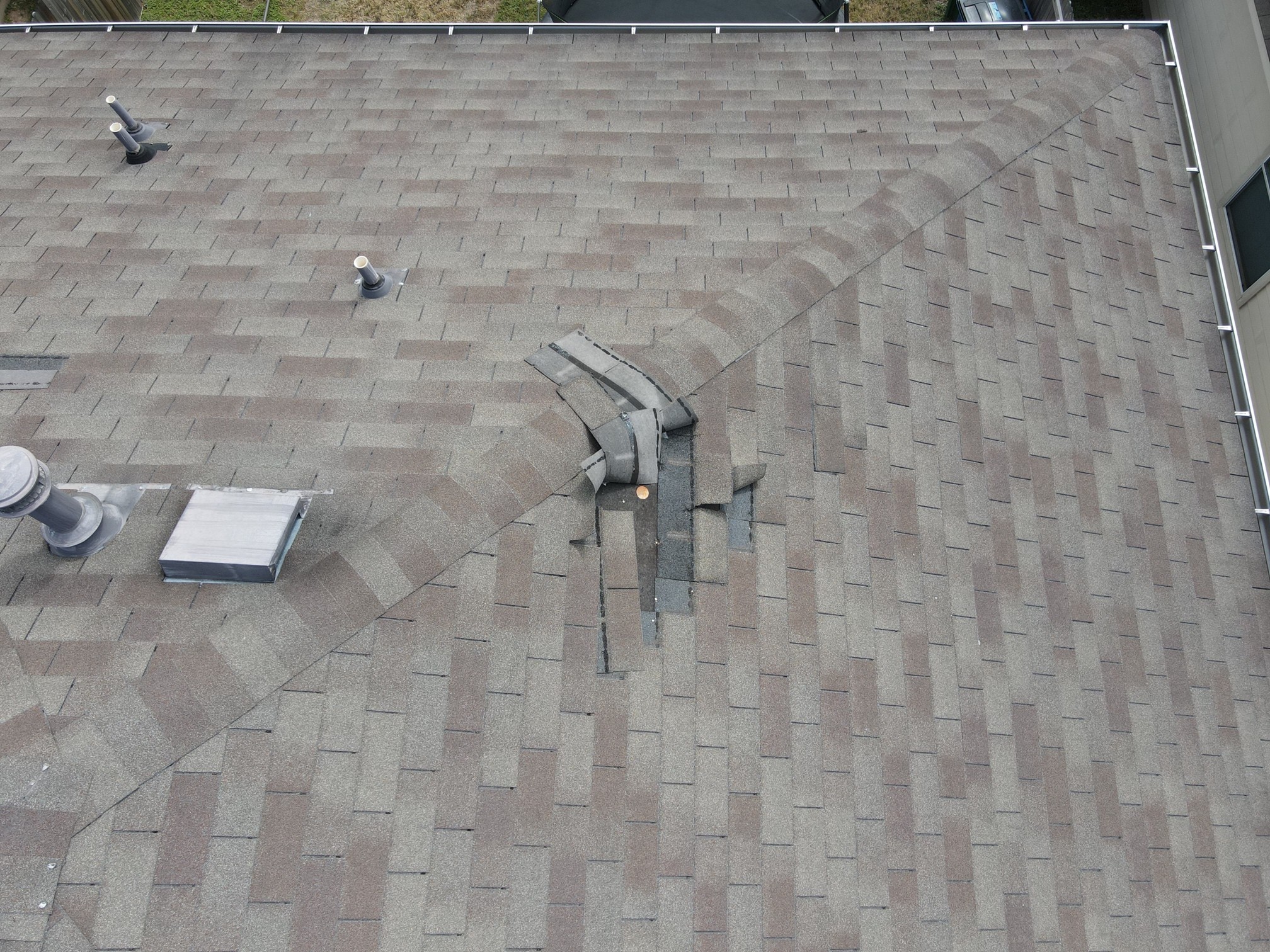 Wind damaged three tab shingles. 