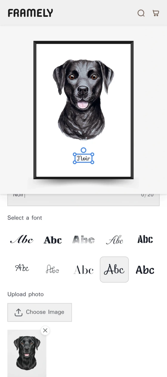 Custom Pet Portrait Frame Gift