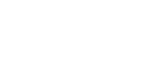 David AI