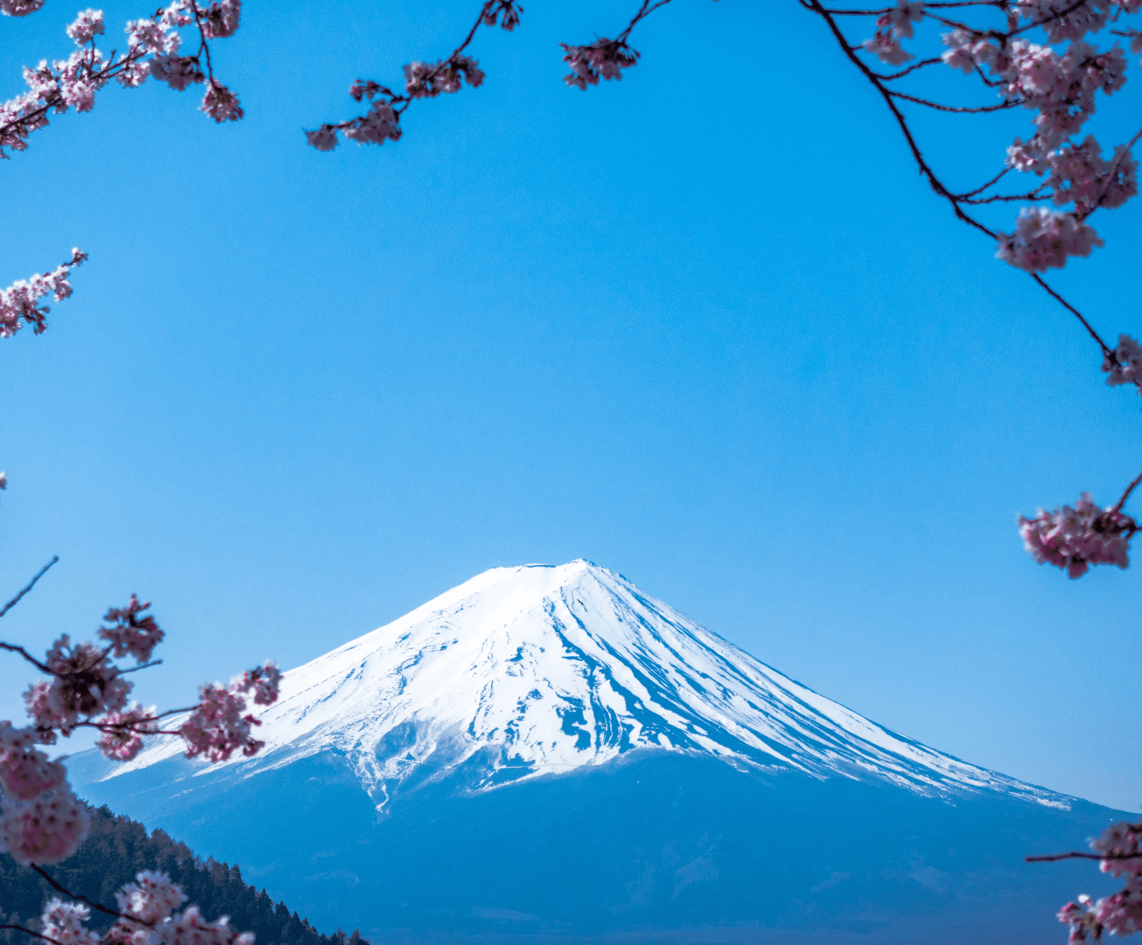 Mt. Fuji, Japan
