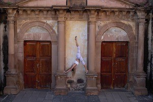 Don't Kill Our Wild Life. WPA poster.