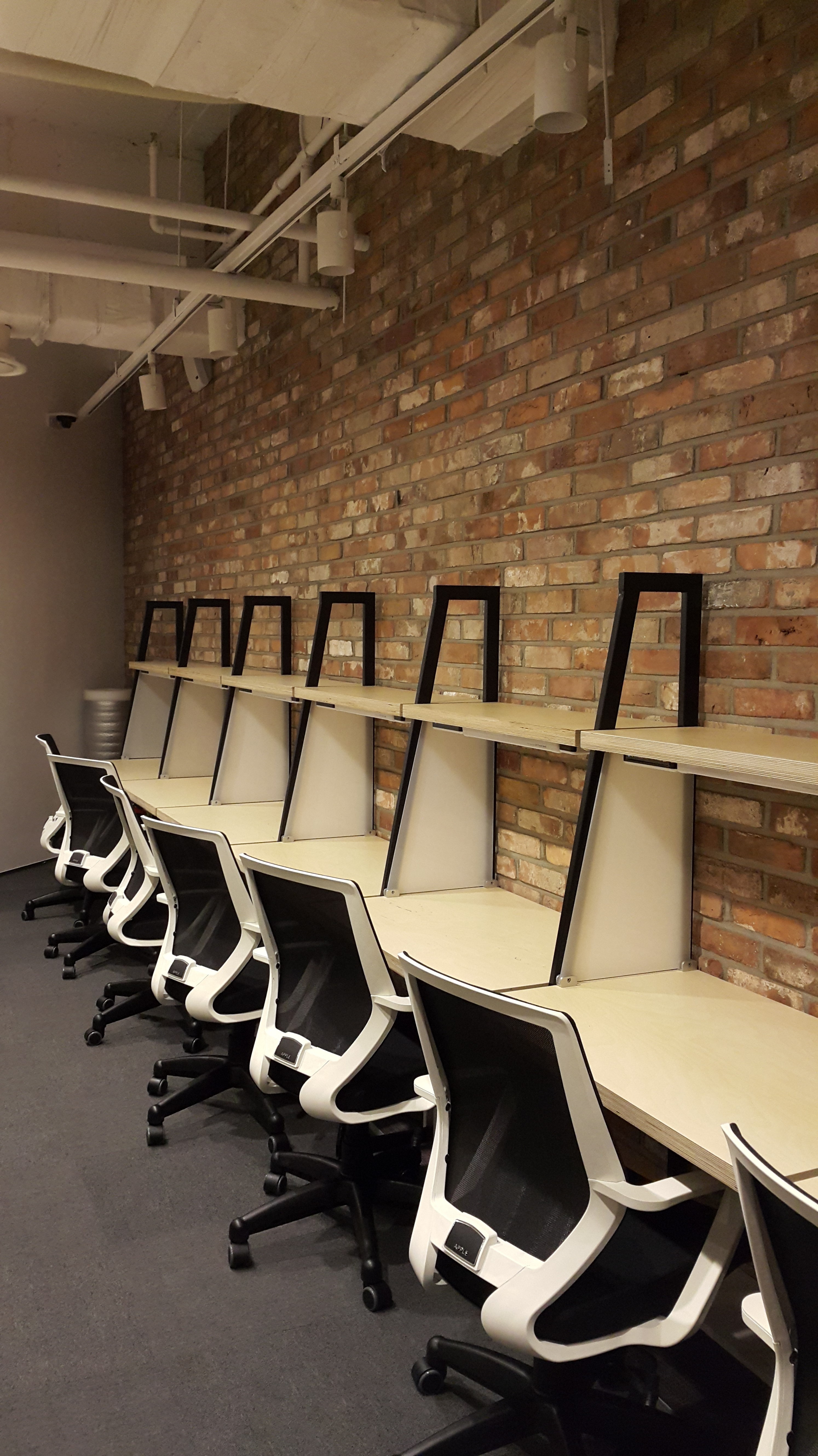 people doing office works