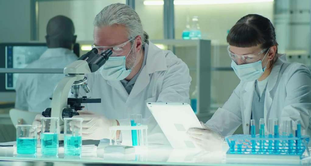 Researchers working in a laboratory