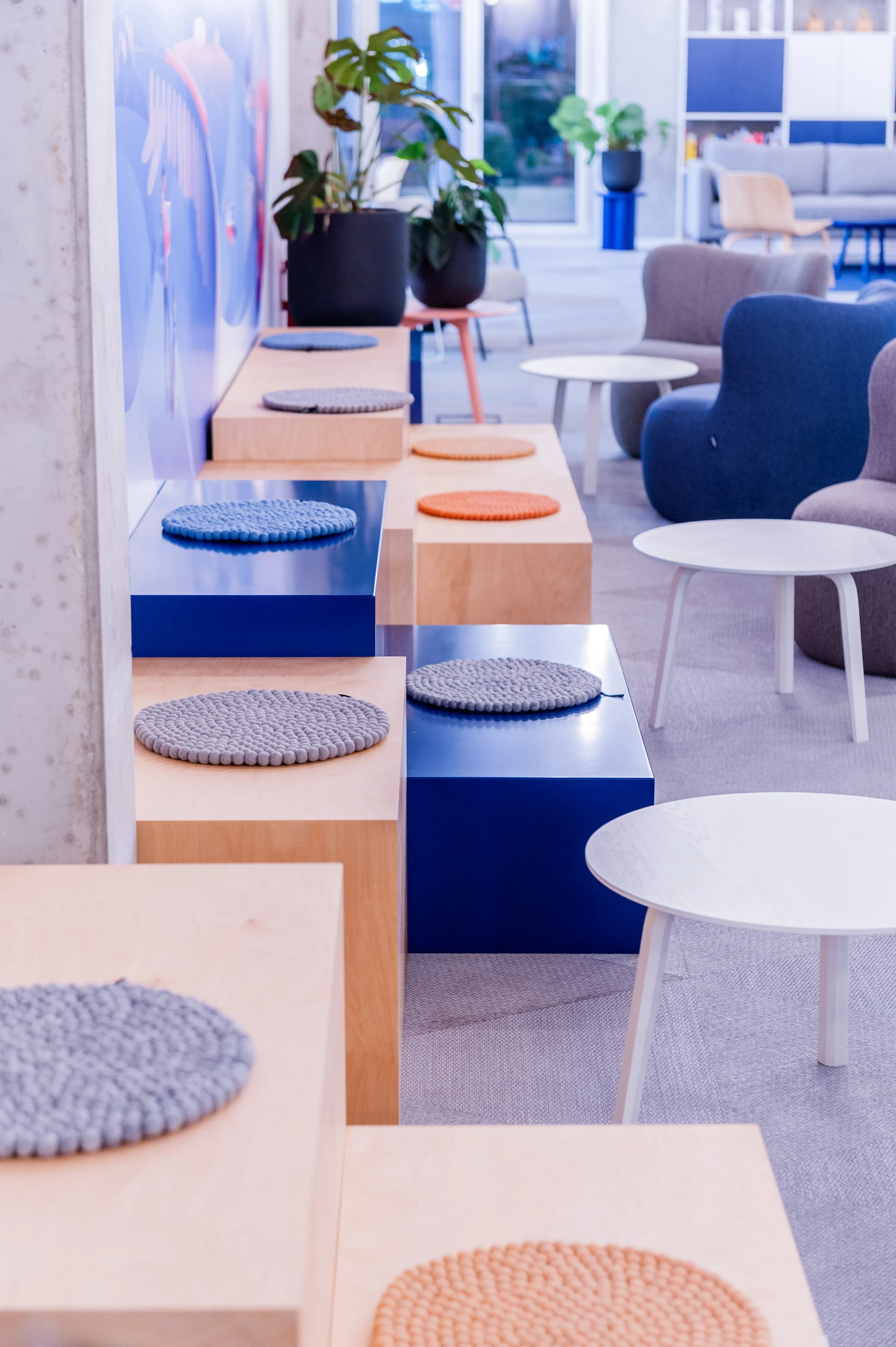 Stepped seating blocks at OMIO in birch and royal blue with round felt cushions in grey and orange, white side tables, a blue armchair and black planters with monstera plants.