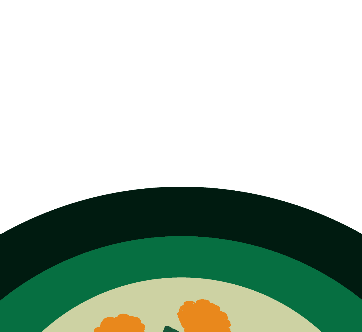 Stylized orange flowers with green stems arranged in a circular frame