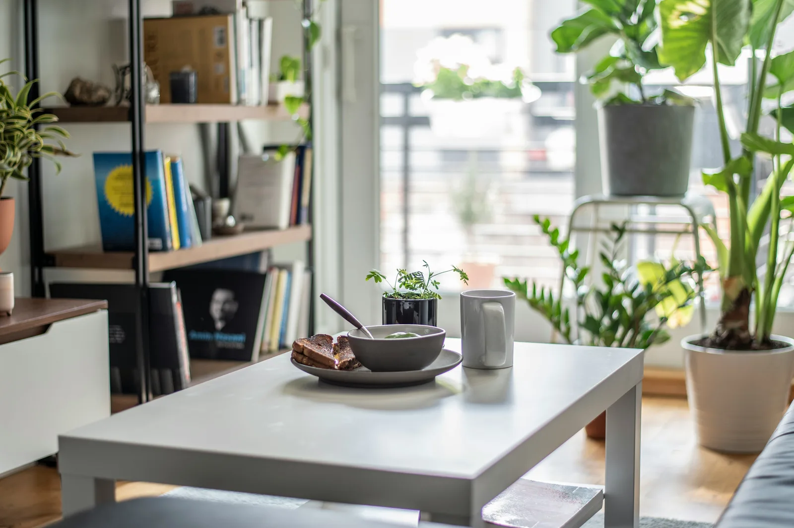 Modern living room with coffee table, bookshelf, and indoor plants