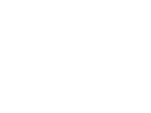 Logo Carrefour