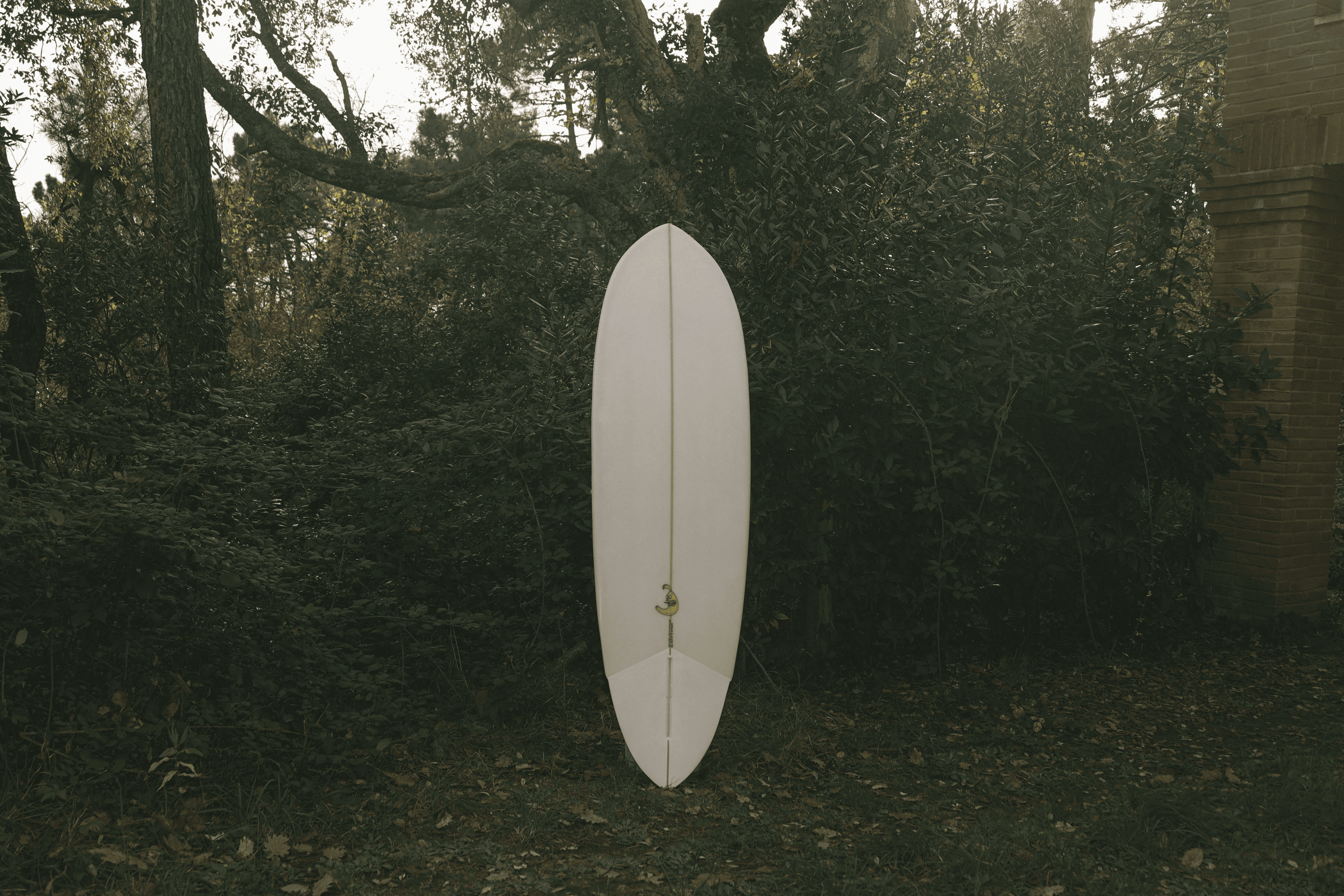 Modello Blue Java, tavola da surf bianca con una pinna centrale gialla sulla coda, esposta verticalmente in un'area boschiva.