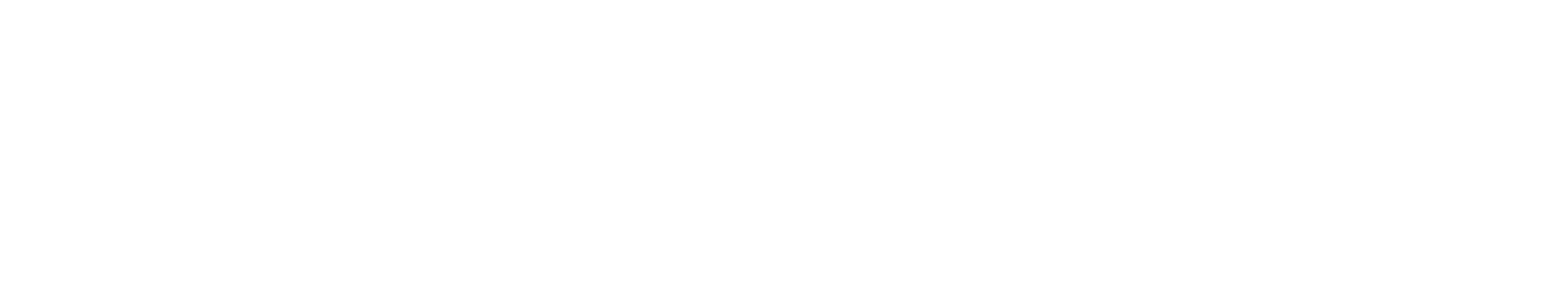 Conf Logo