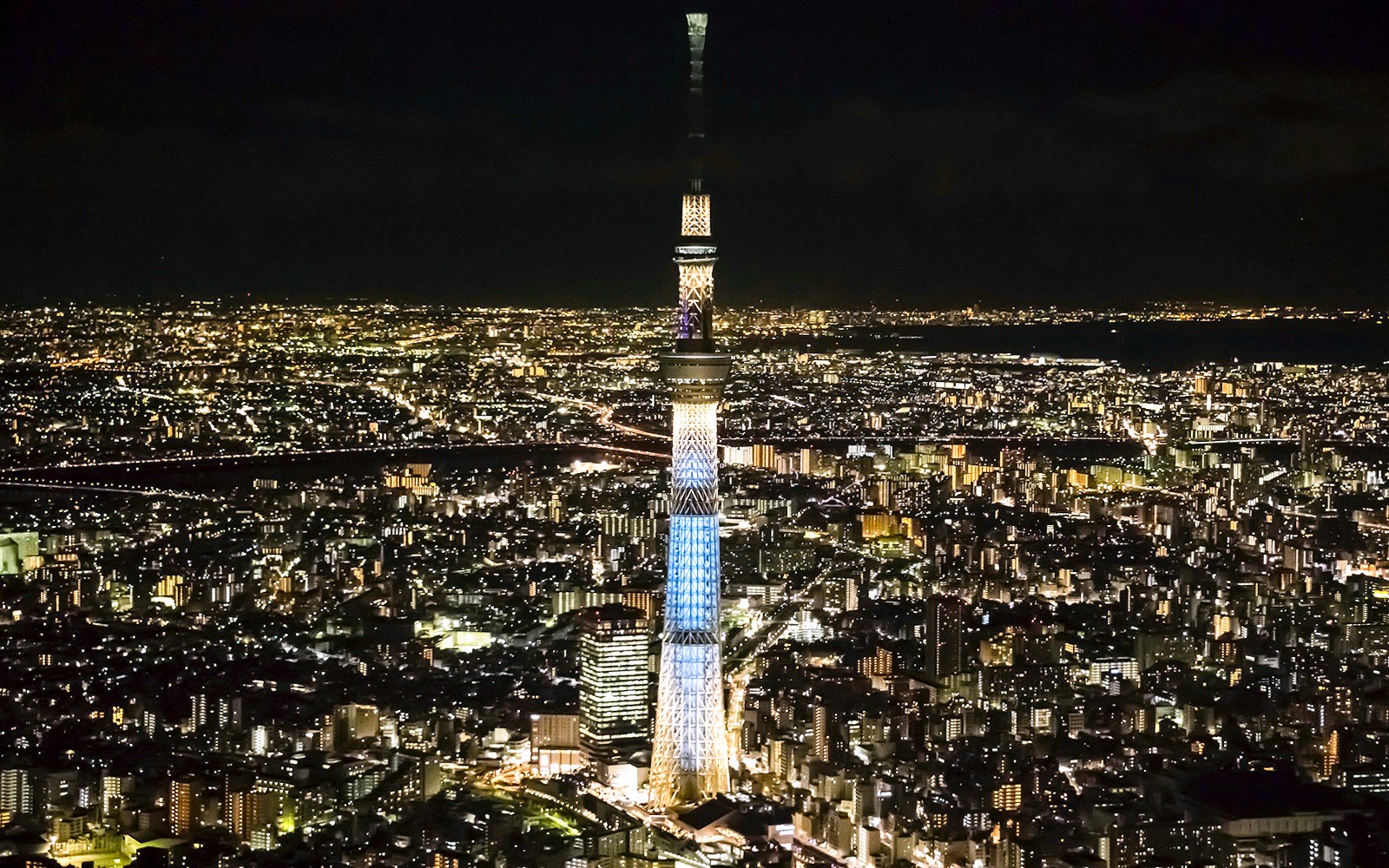 Tháp Tokyo Skytree được chiếu sáng vào ban đêm với ánh đèn thành phố trong nền.