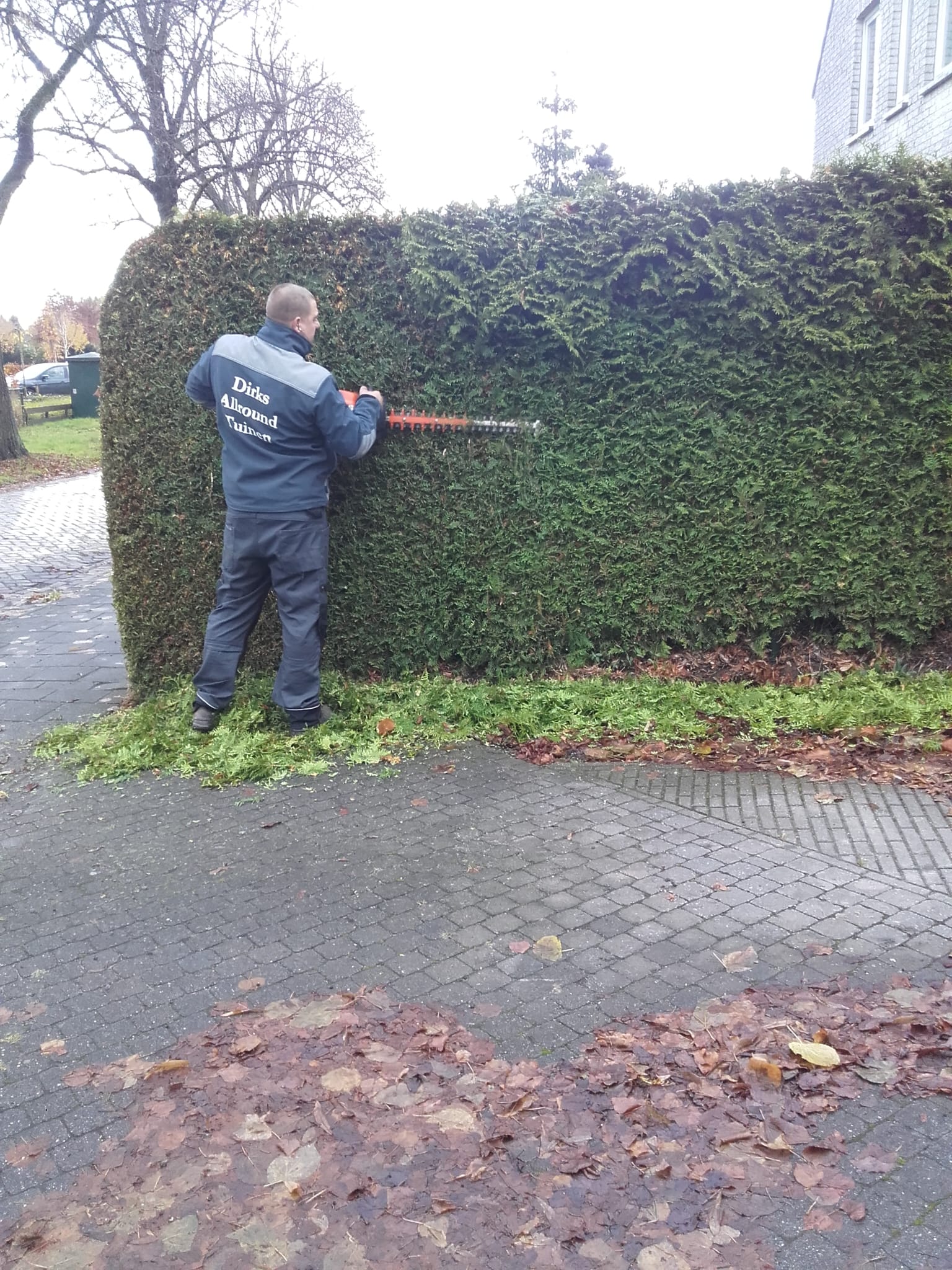 Gardener team at work