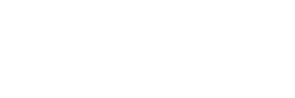 Plug