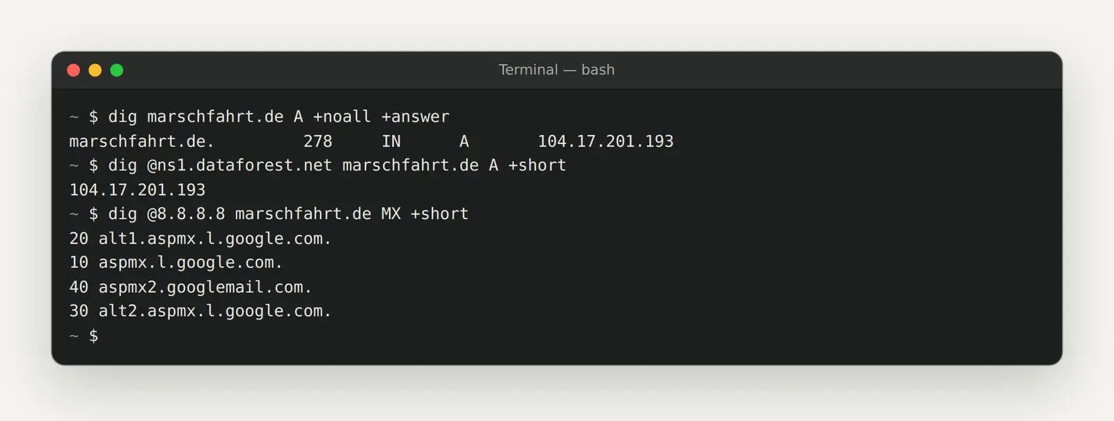 Nach dem Domain-Umzug mit dig prüfen: TTL, Nameserver-Antwort und Mailserver bei Google DNS
