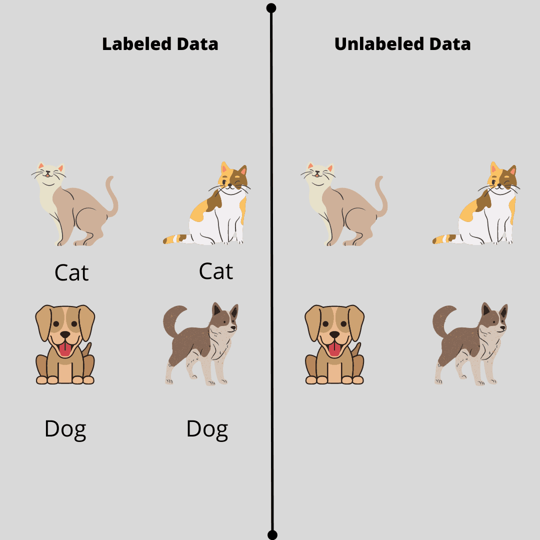 Labeled vs unlabeled data in machine learning training. 