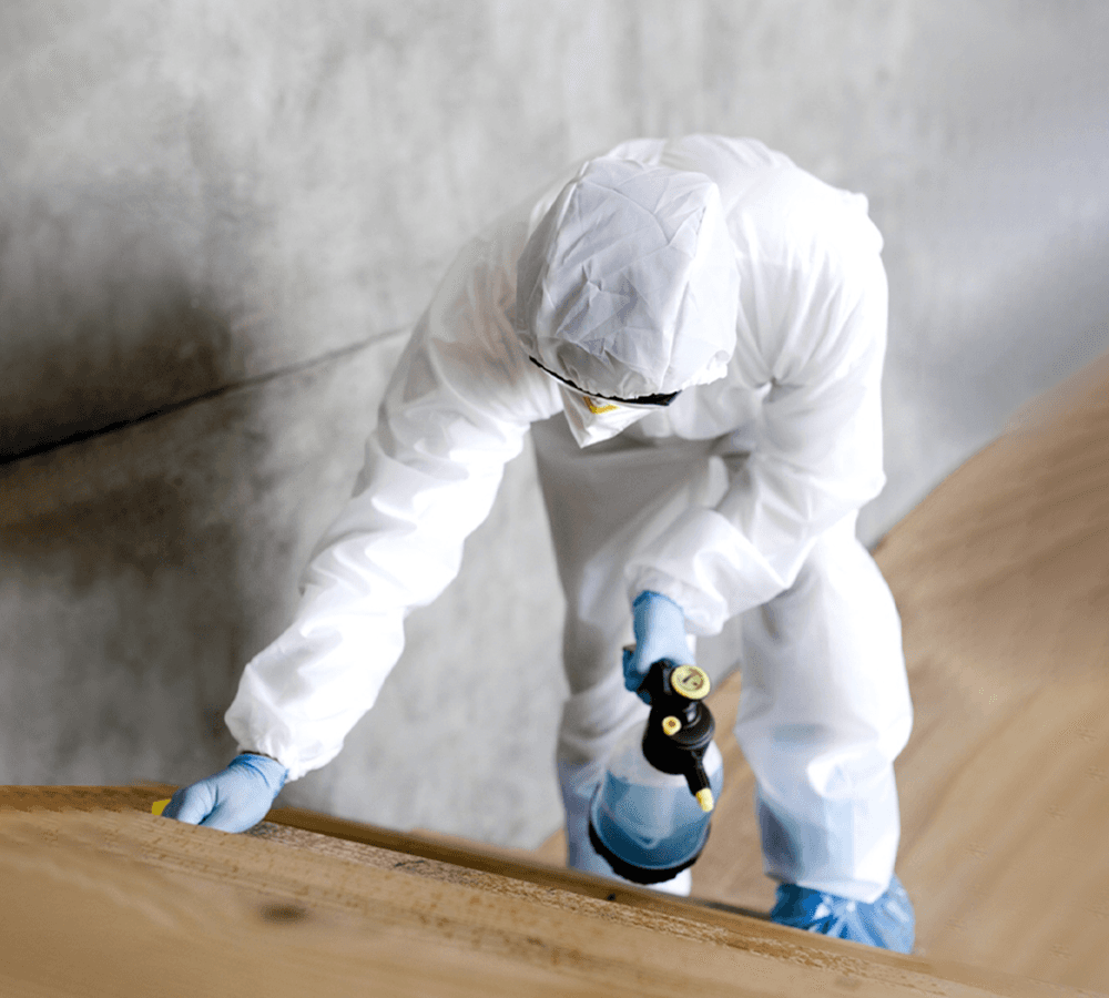 Two biohazard remediation workers in protective suits and face shields comforting a distressed woman in a yellow sweater, with 'REMNANT' logo visible on the suits.