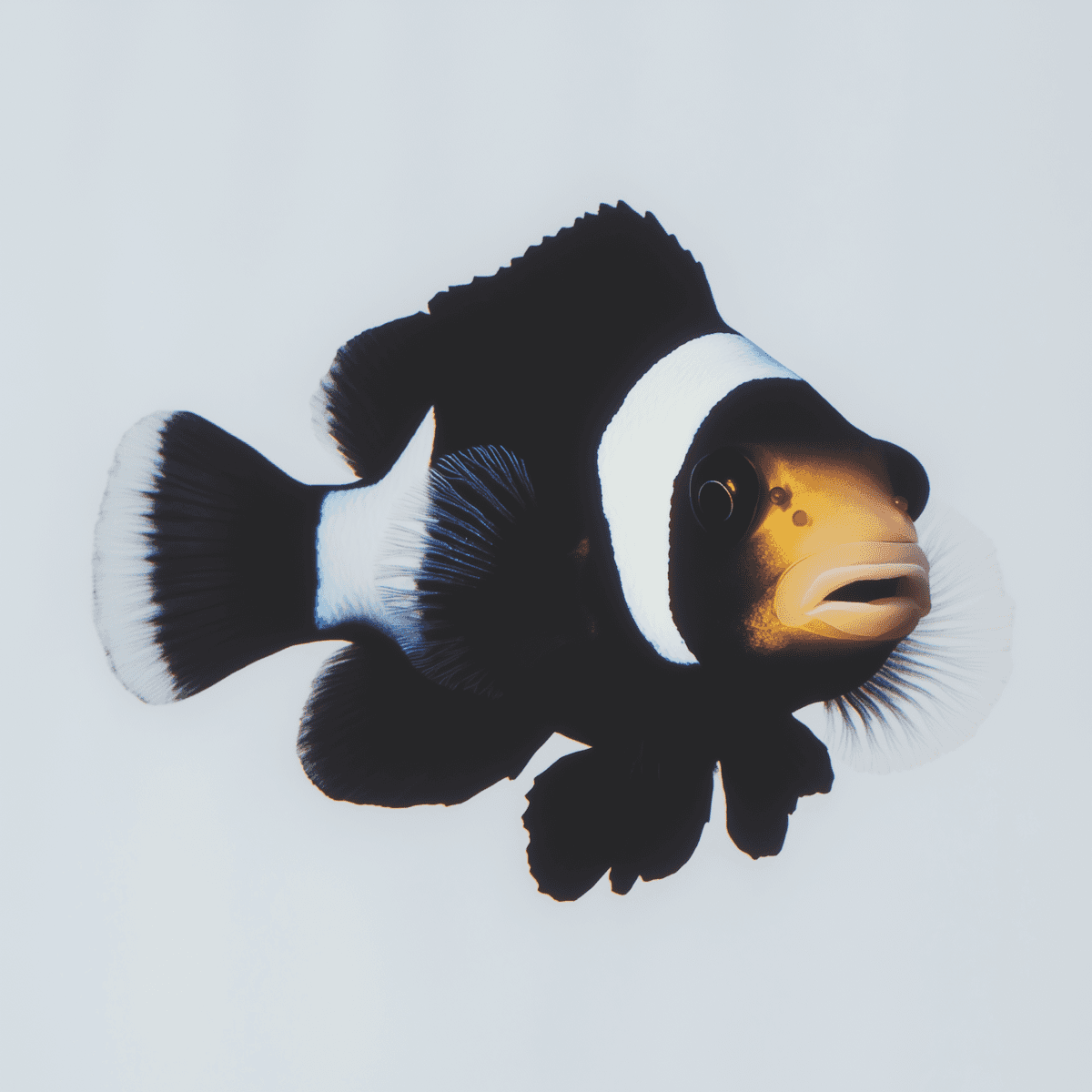 A whimsical close-up of a vibrant orange and white fish with large eyes, set against soft coral in an underwater scene.