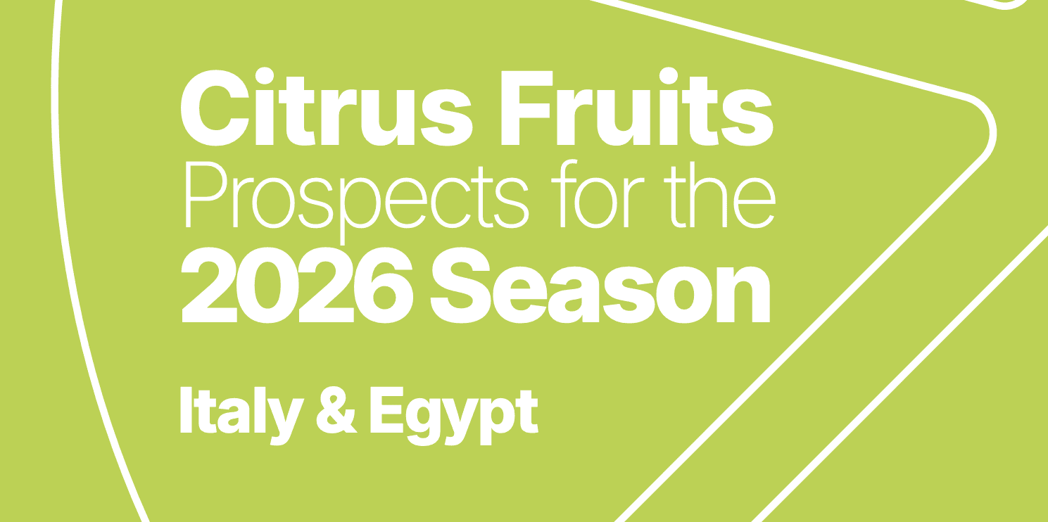 Confectionery Flavors