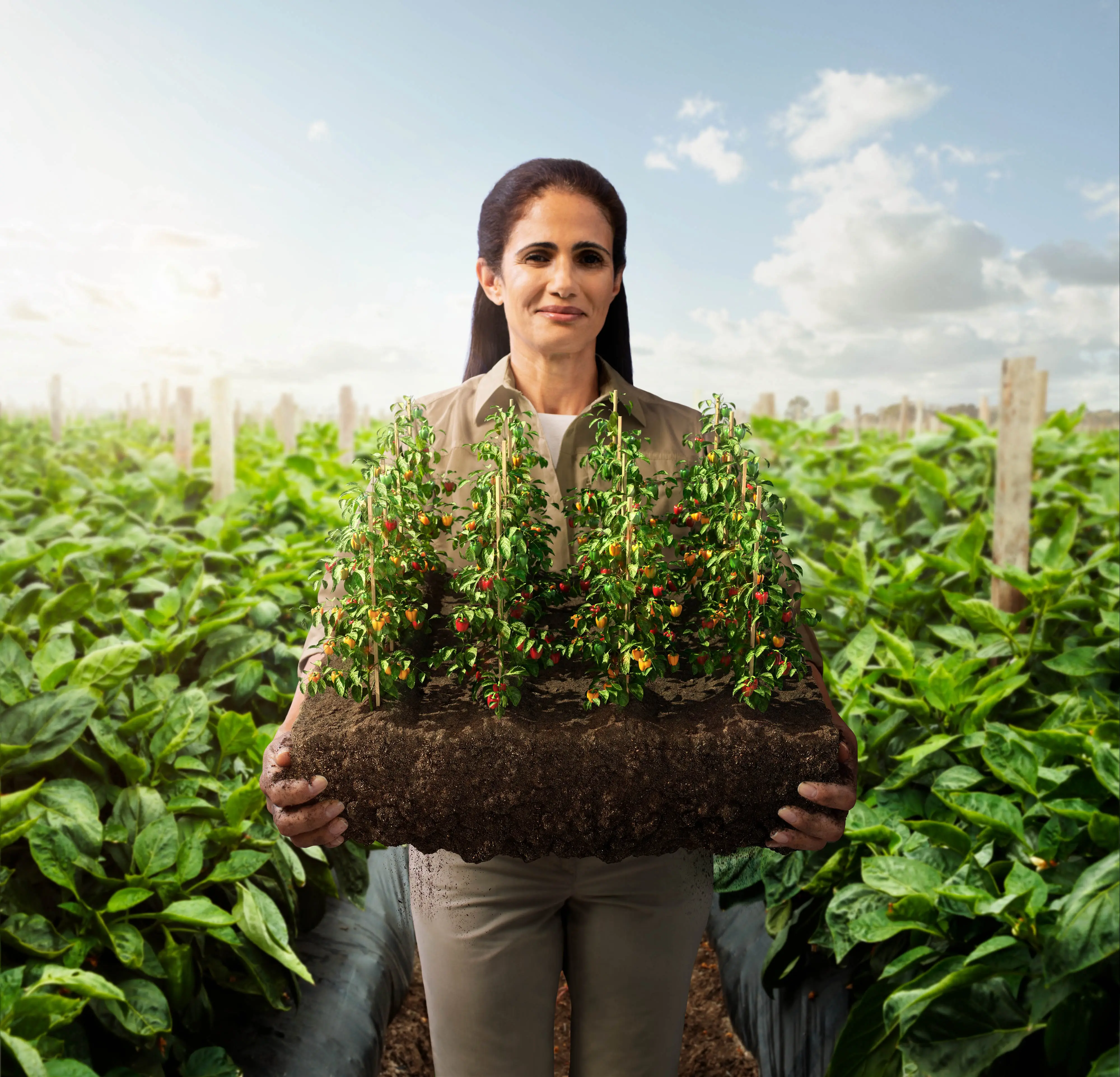 woman holding a basket of plants