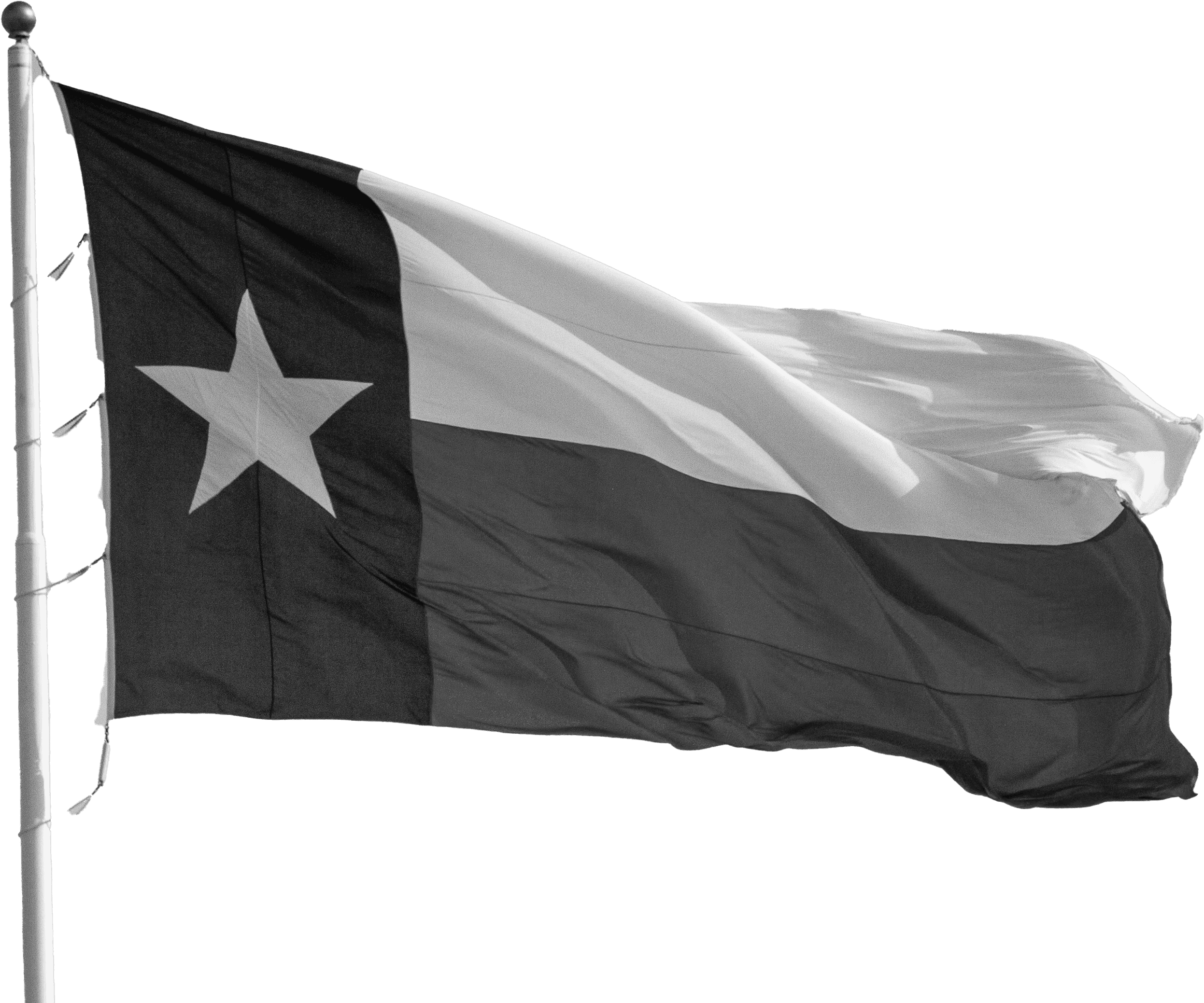 Texas flag