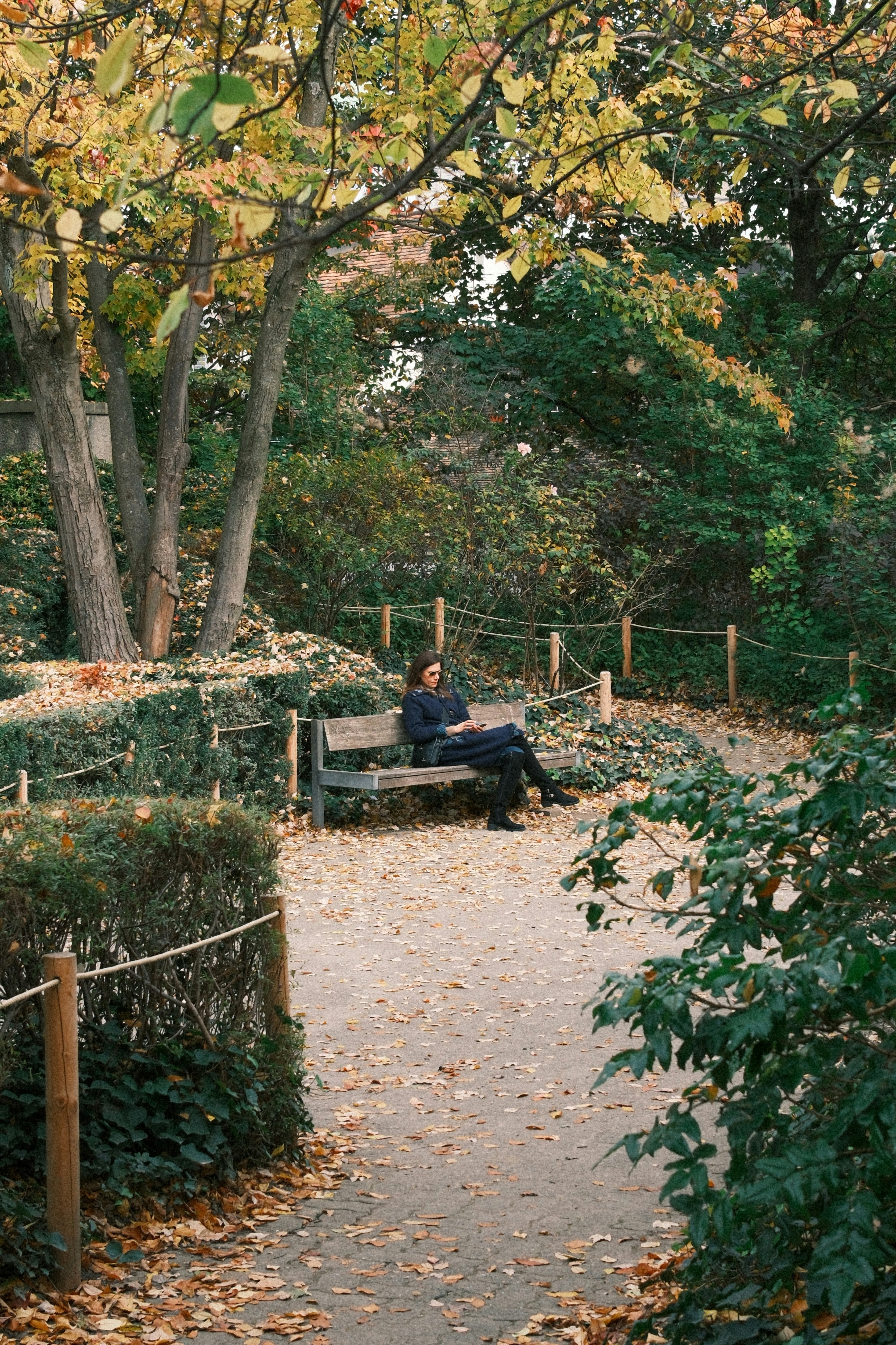 Woman reading on a park bench surrounded by autumn foliage.