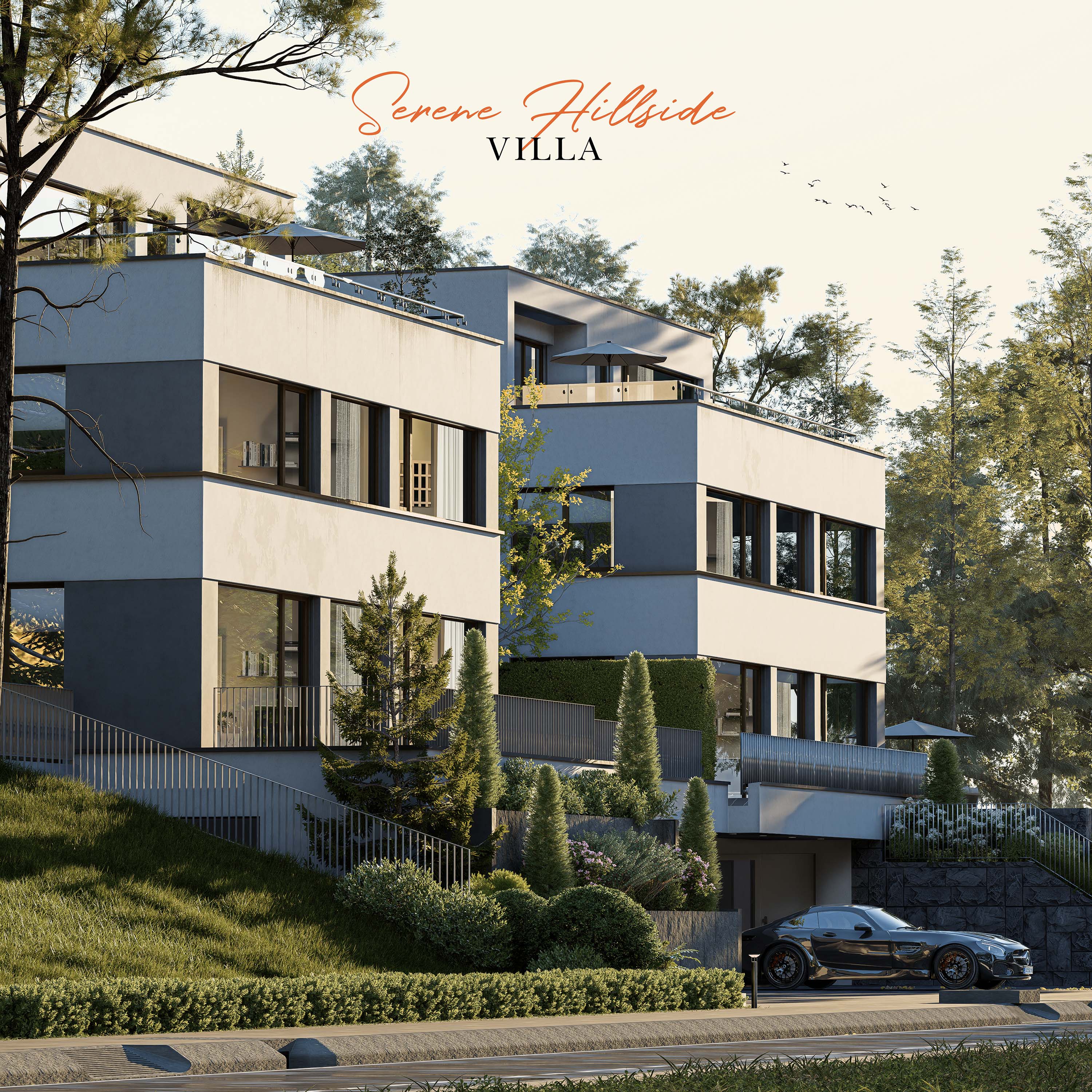 Serene Hillside Villa