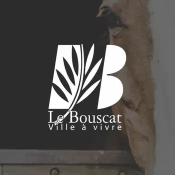 Miniature du projet aftermovie pour la mairie du bouscat