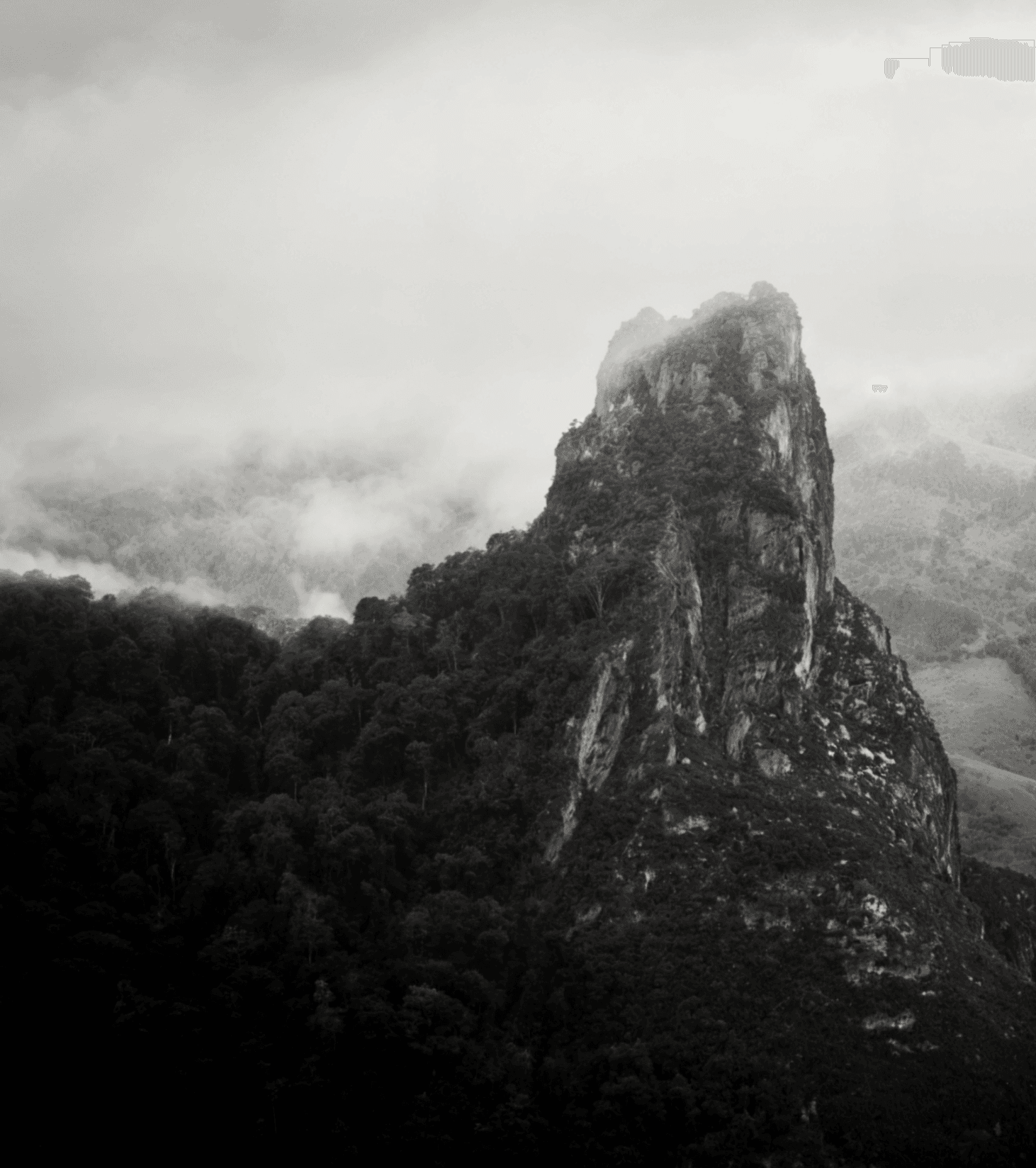 Top view of coffee can mockup with bold black typography on white background