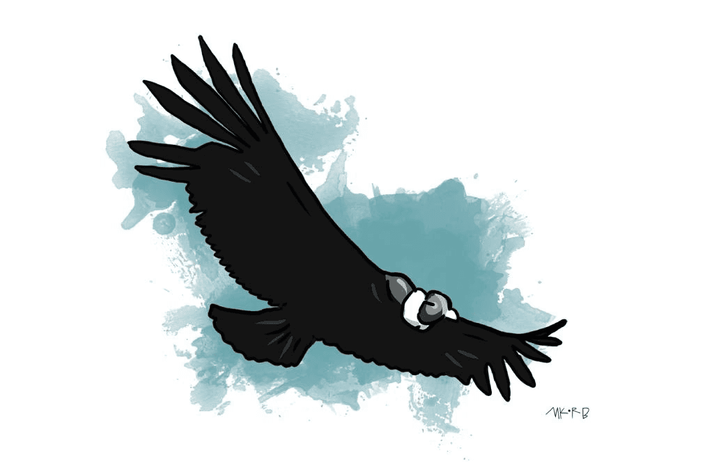 Ilustracion de aves sobre fondos de acuarela