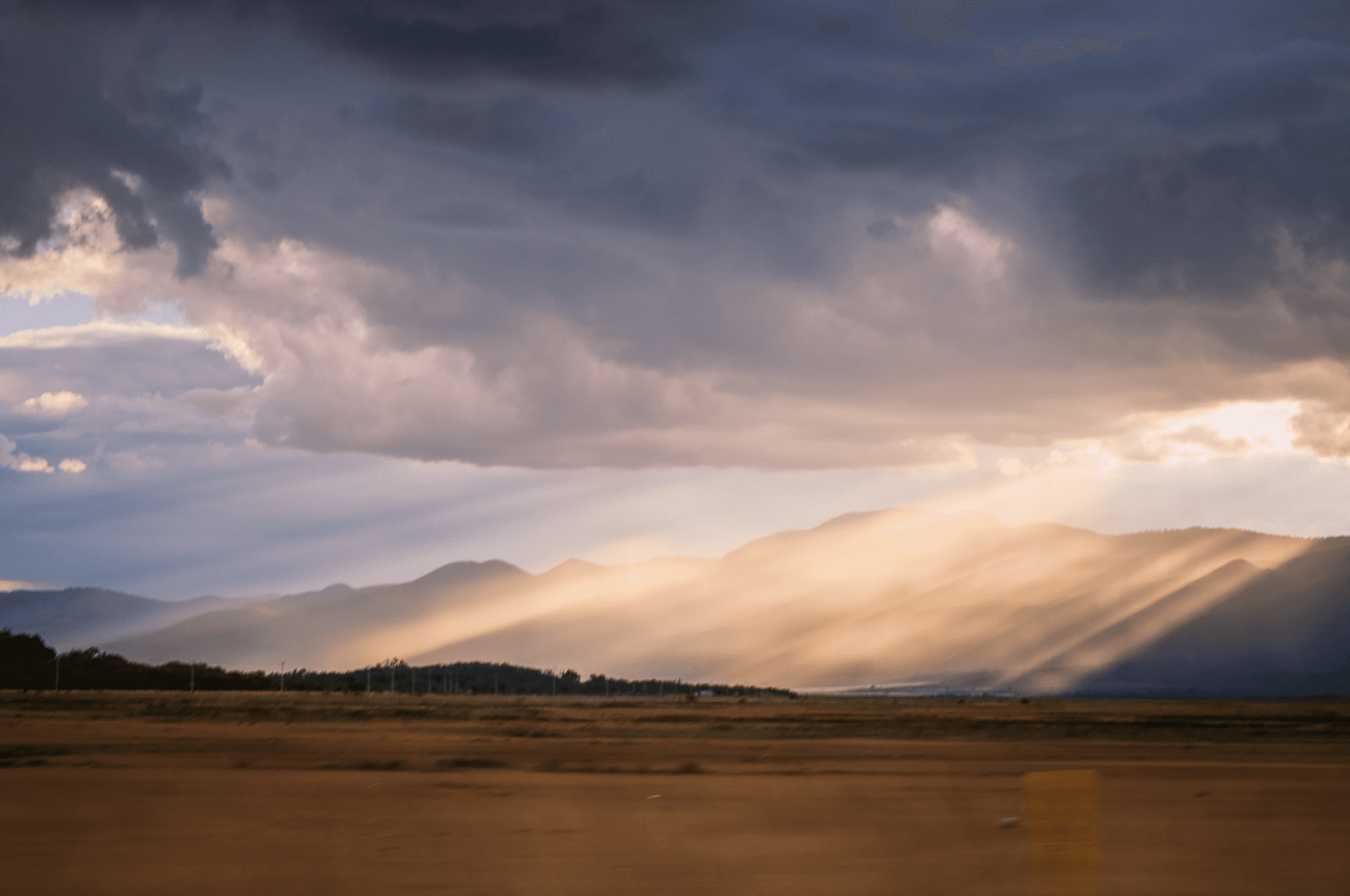 Photo by Renee G. Gudiño