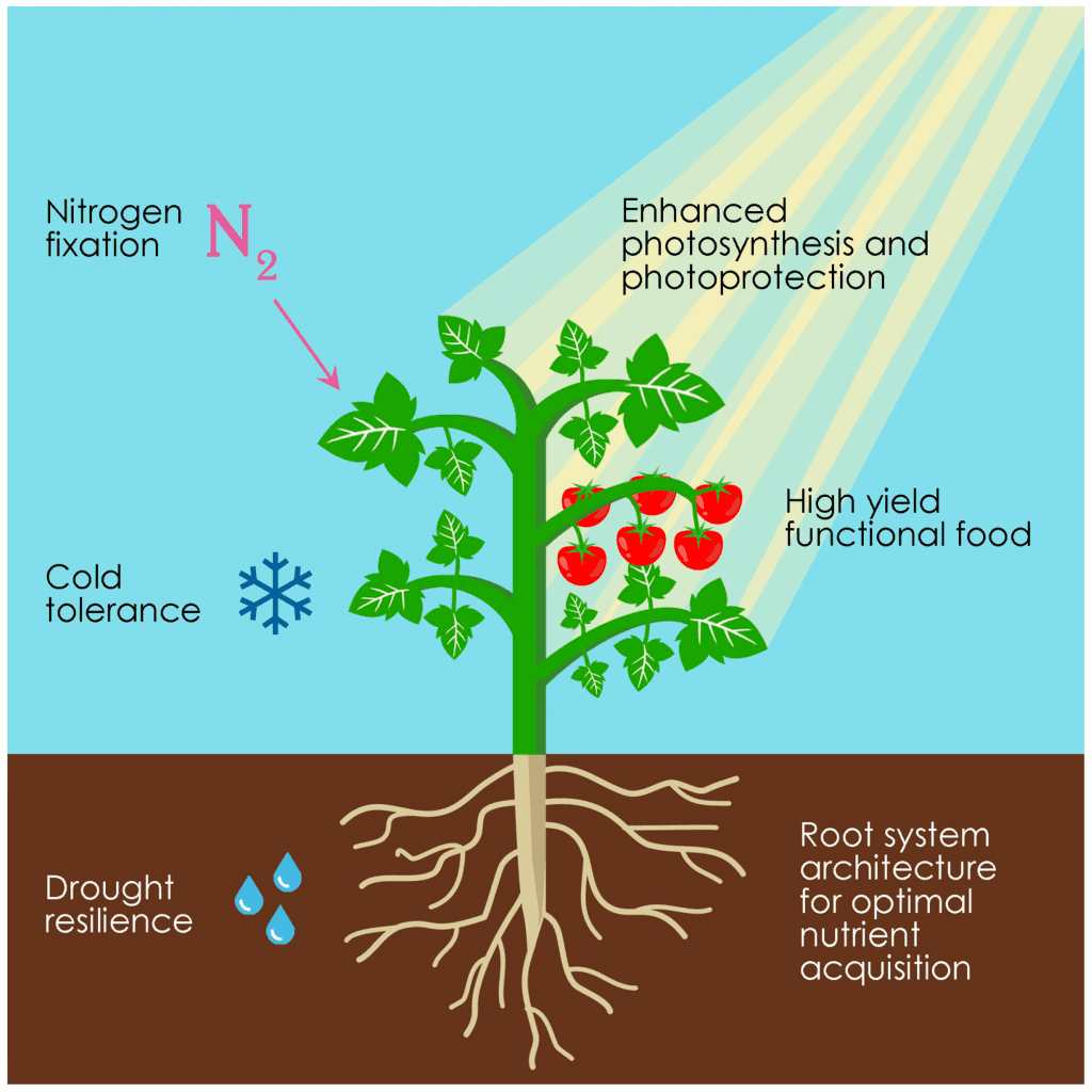 Synthetic biology