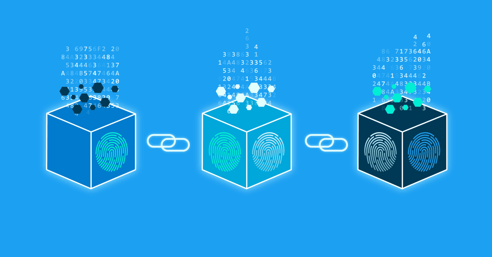 an illustration of blockchain - Onchain vs Offchain 