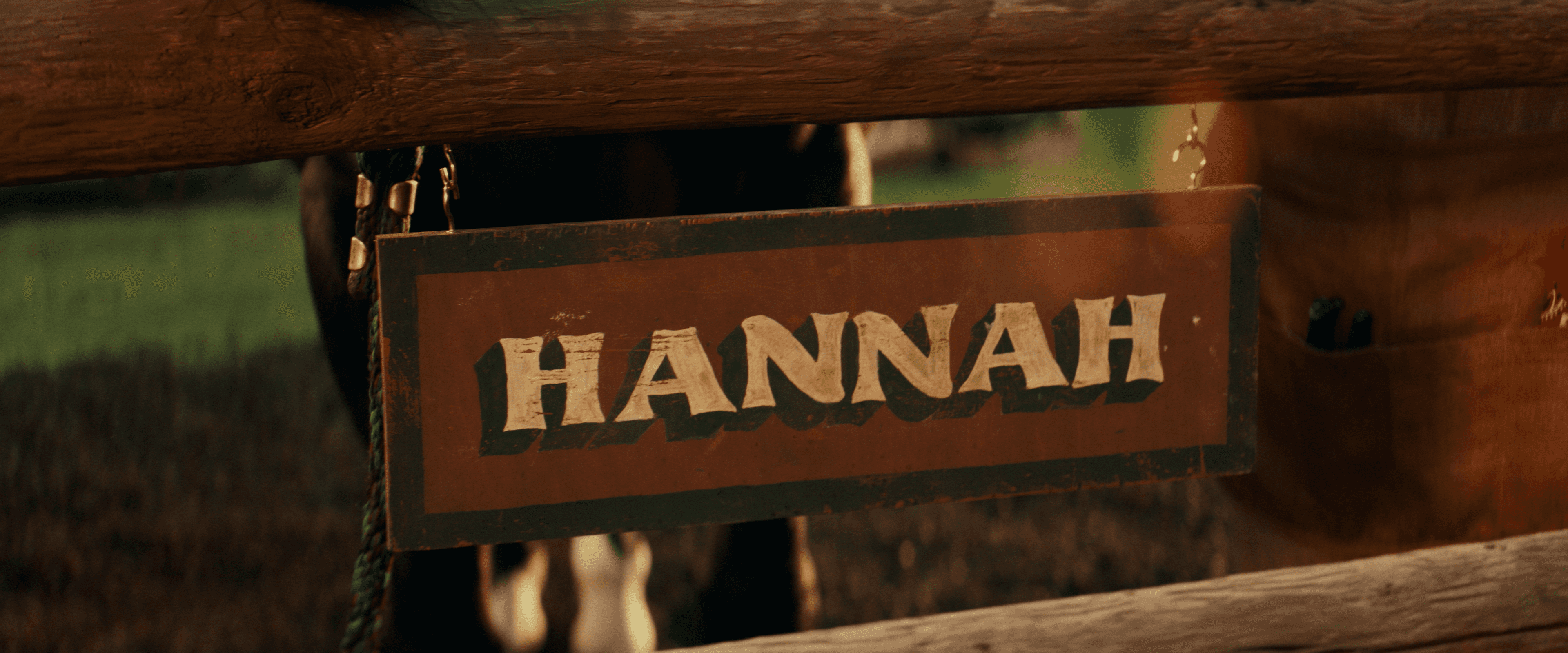 Hannah Sign