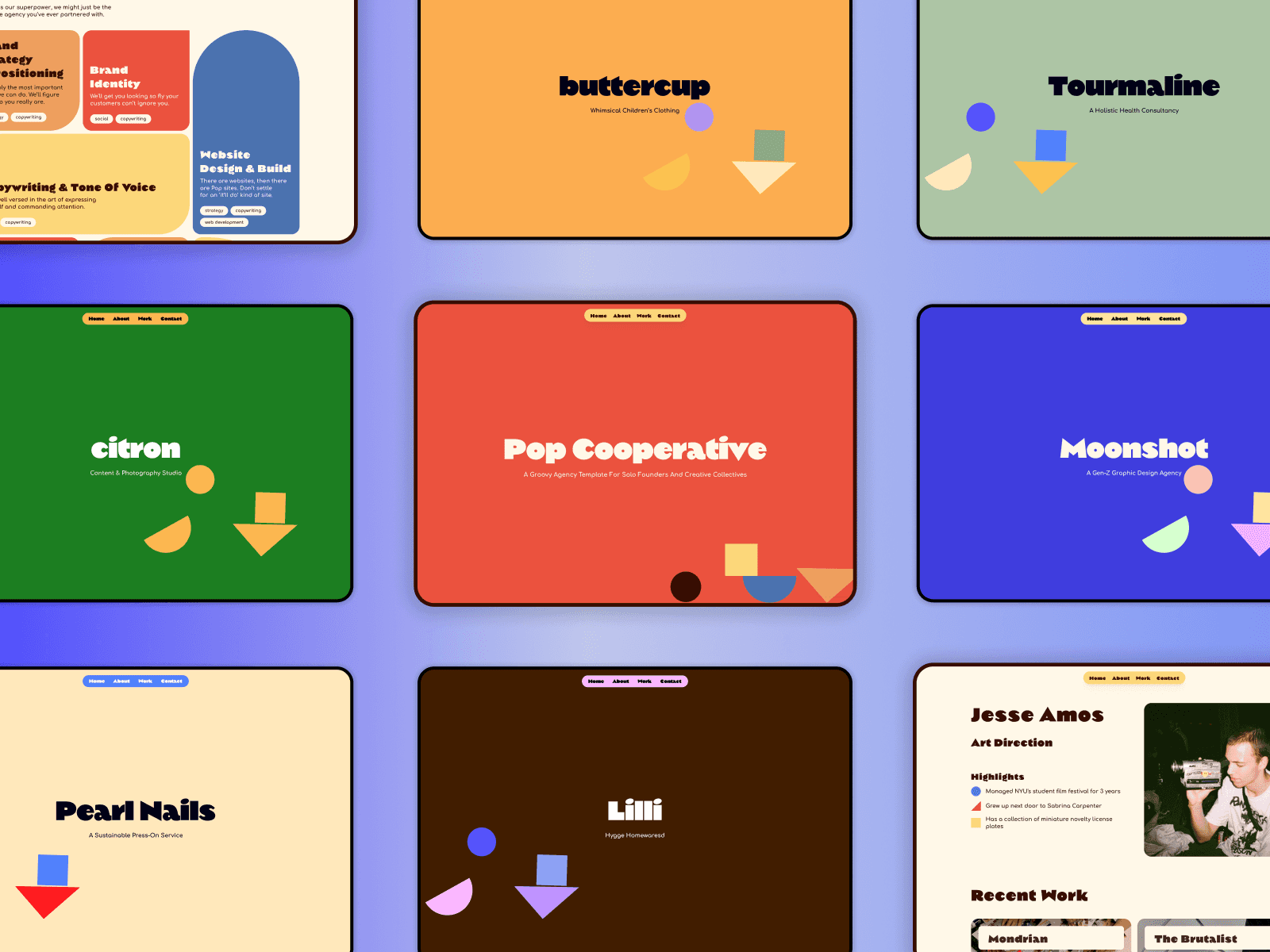 a grid of the same website template customized to fit an array of different businesses, designed by Raedio Design
