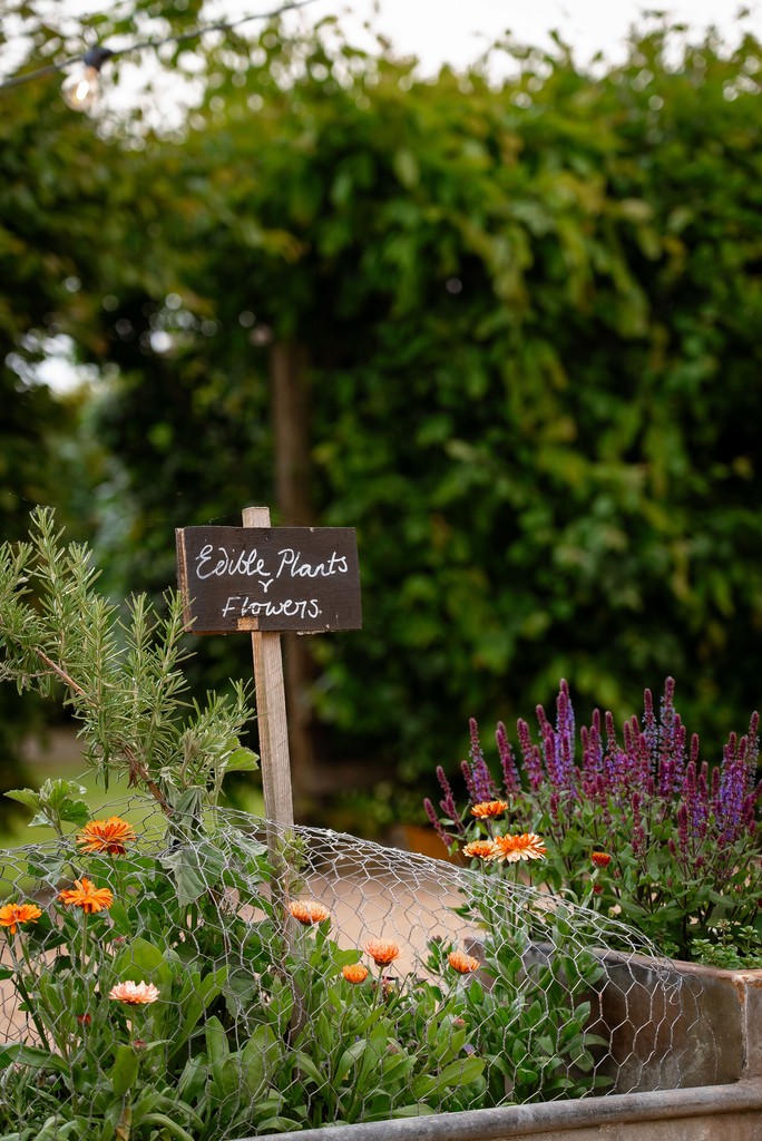 Live acoustic performance for intimate evening