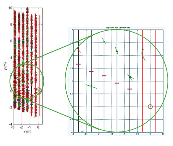 graphique cartographie racinaire