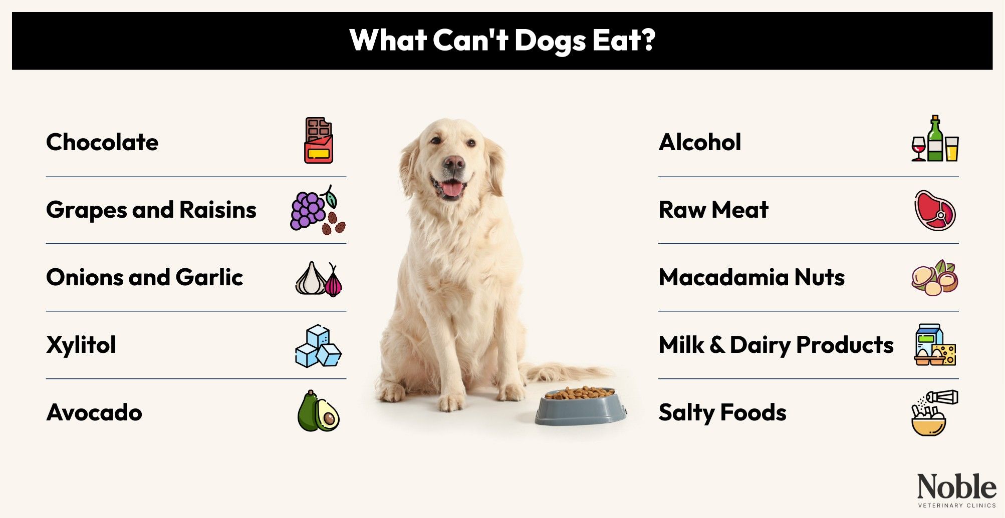 What Can't Dogs Eat?