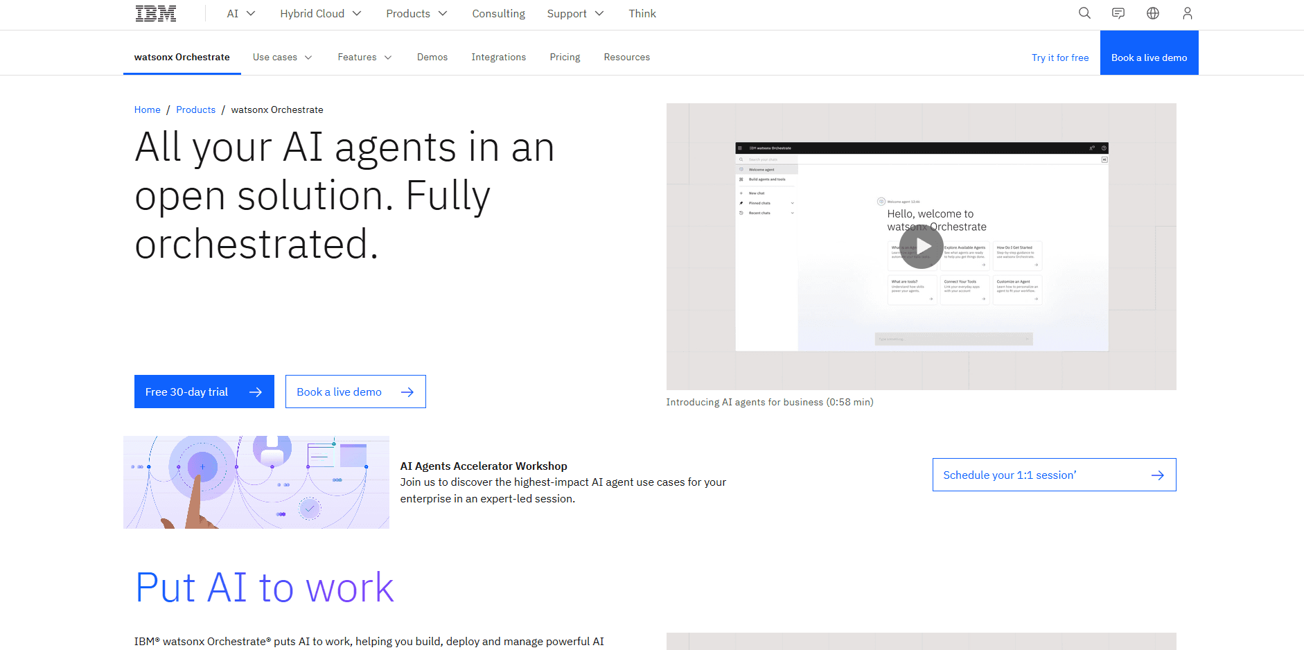 IBM Watsonx Assistant