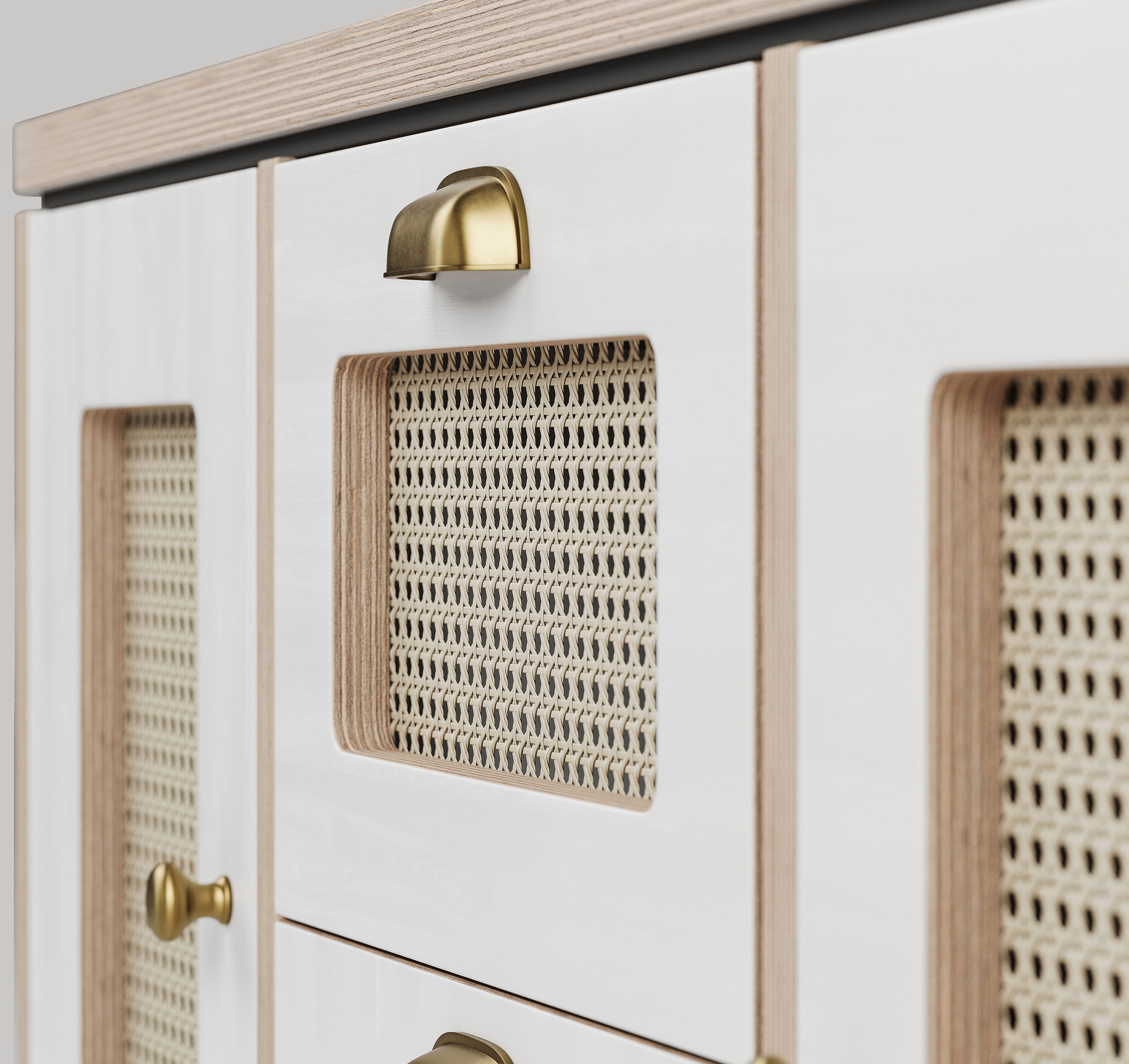 Close-up 3D render of cabinet door with rattan panel and brass handle detail