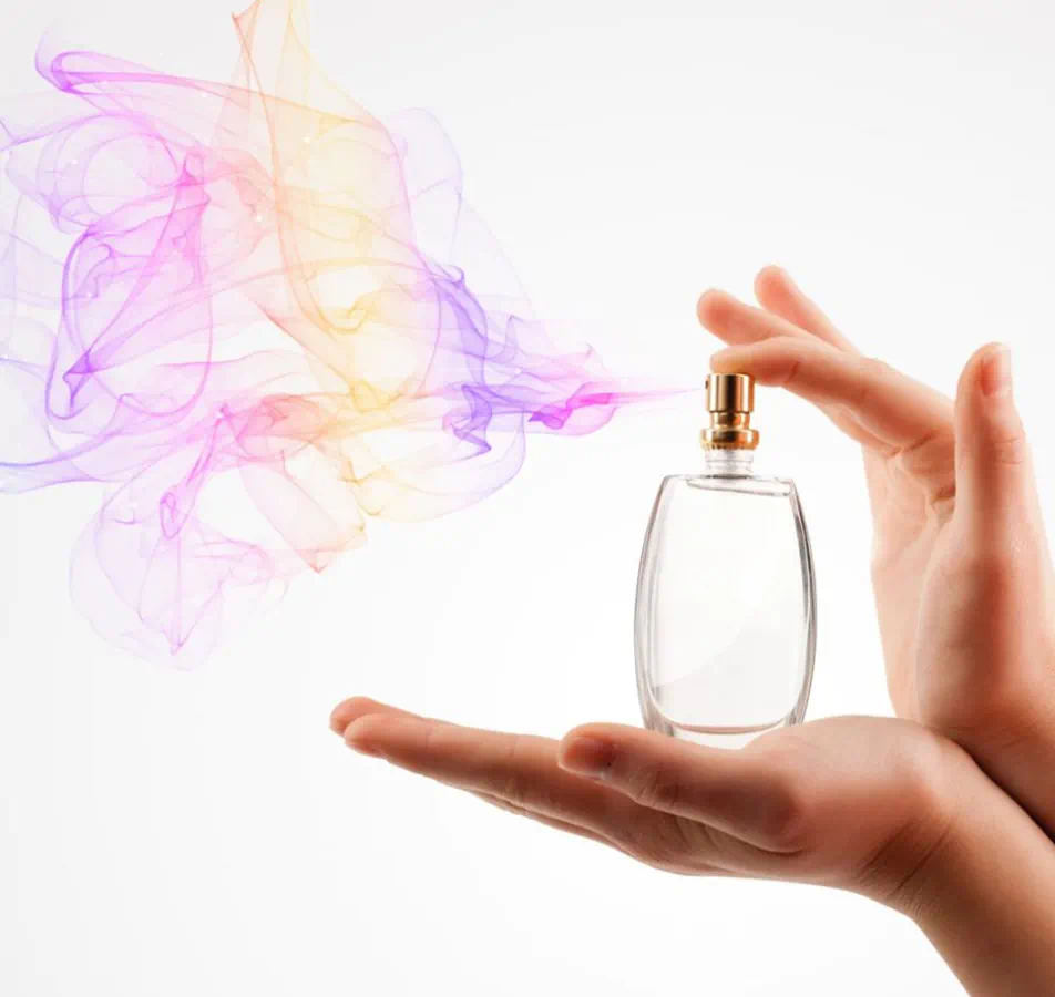 Fragrance Outlet