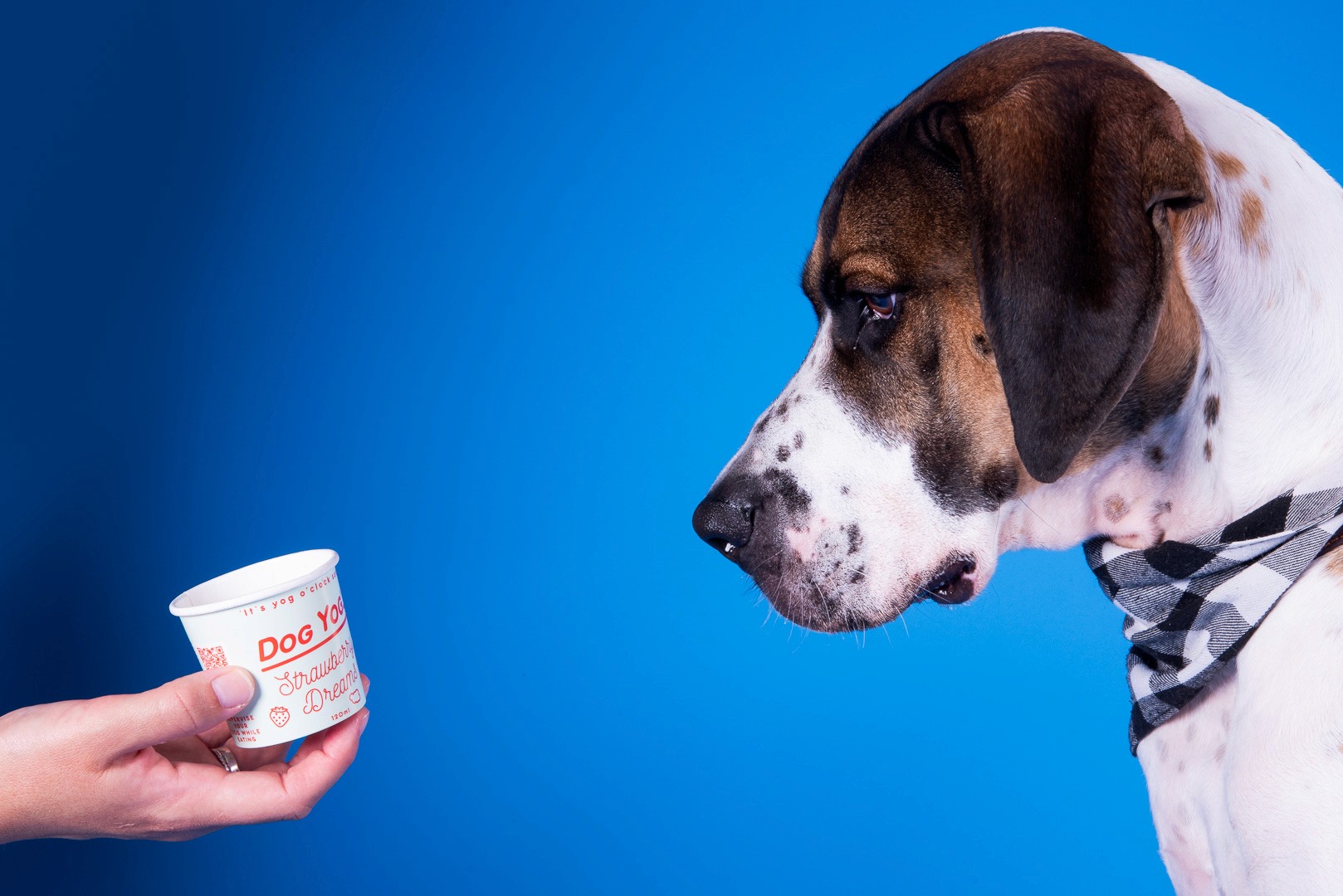 Melbourne Creative Studio & Satellite Studio for Agencies