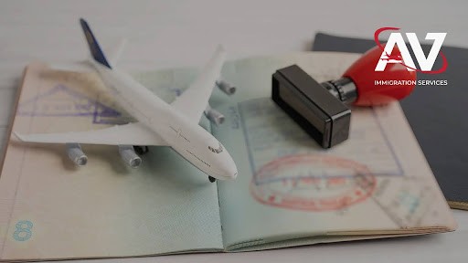 a rocky beach with trees and water in the background