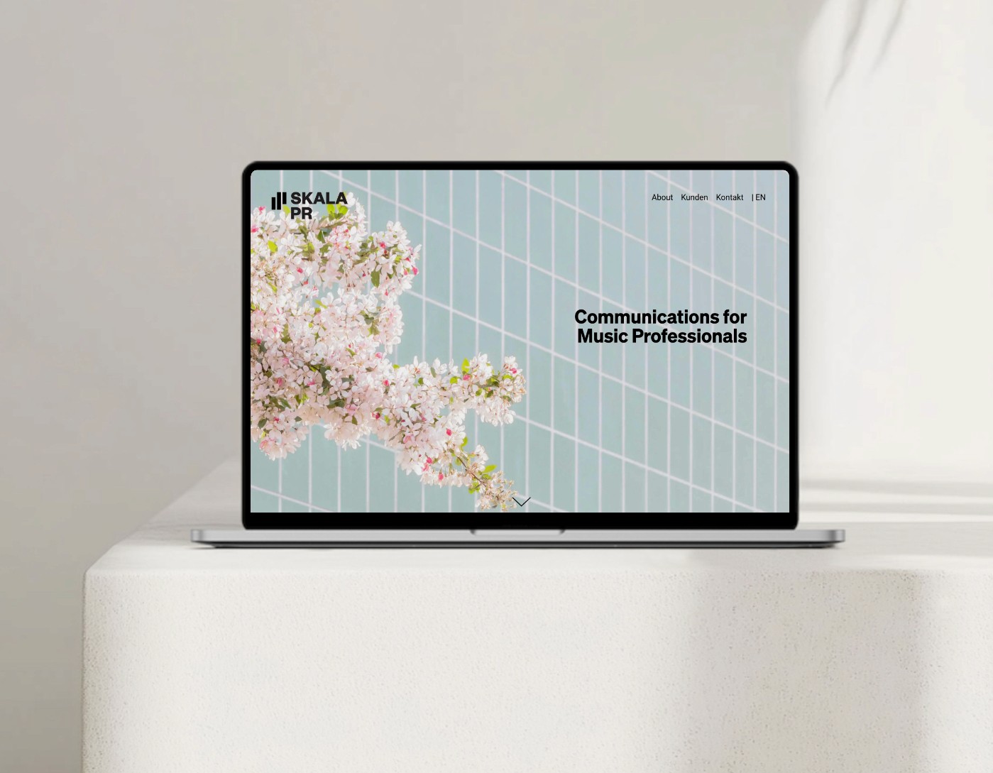 Antje Ireland Screen