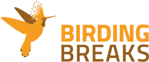 Birdingbreaks